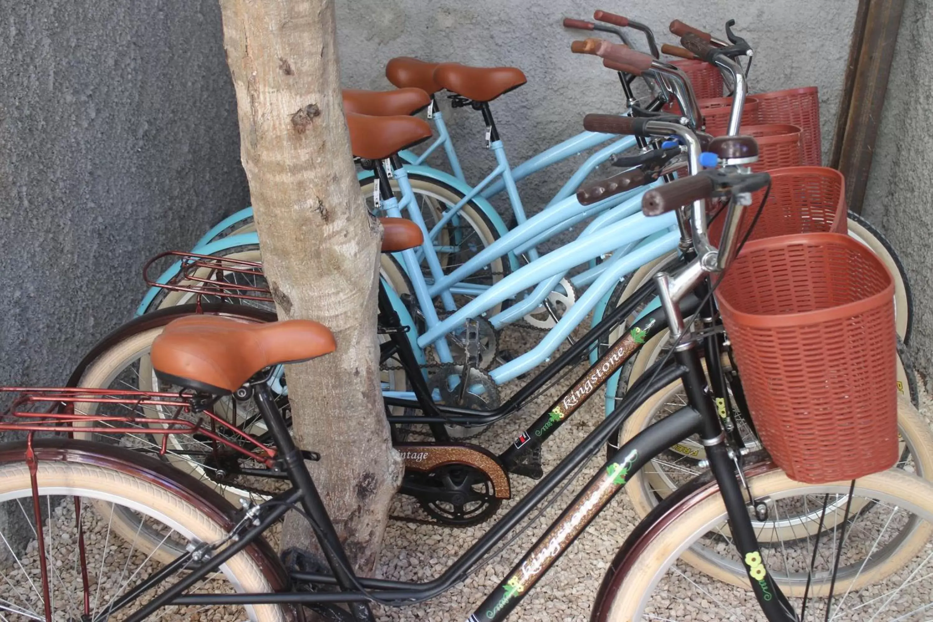 Cycling, Biking in Little Gem Hotel Tulum La Veleta