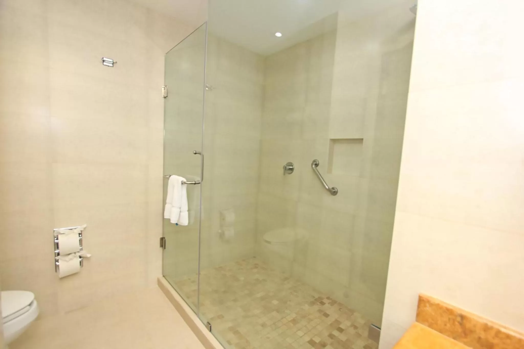 Bathroom in Holiday Inn Leon by IHG