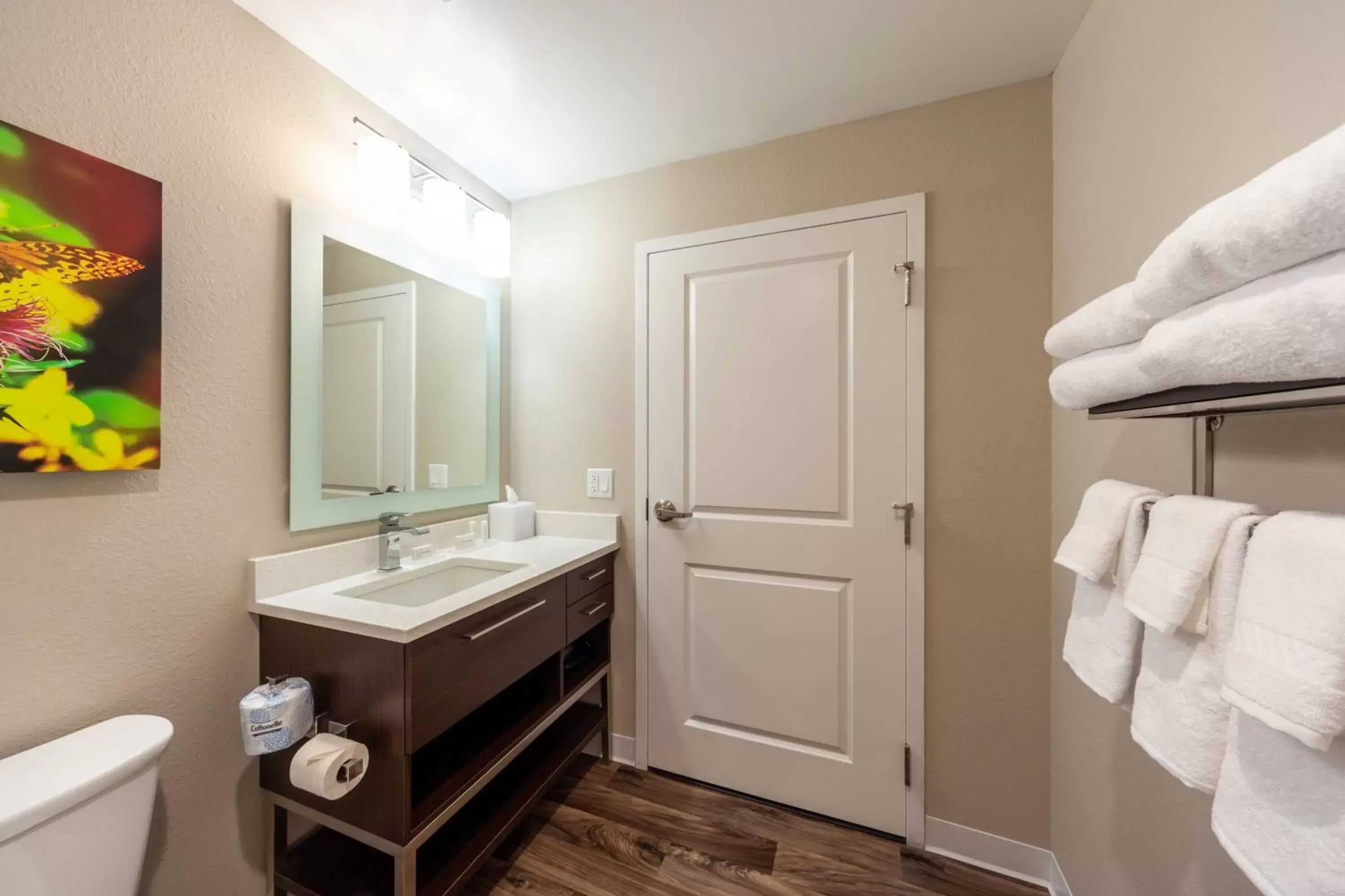 Bathroom in TownePlace Suites by Marriott Front Royal