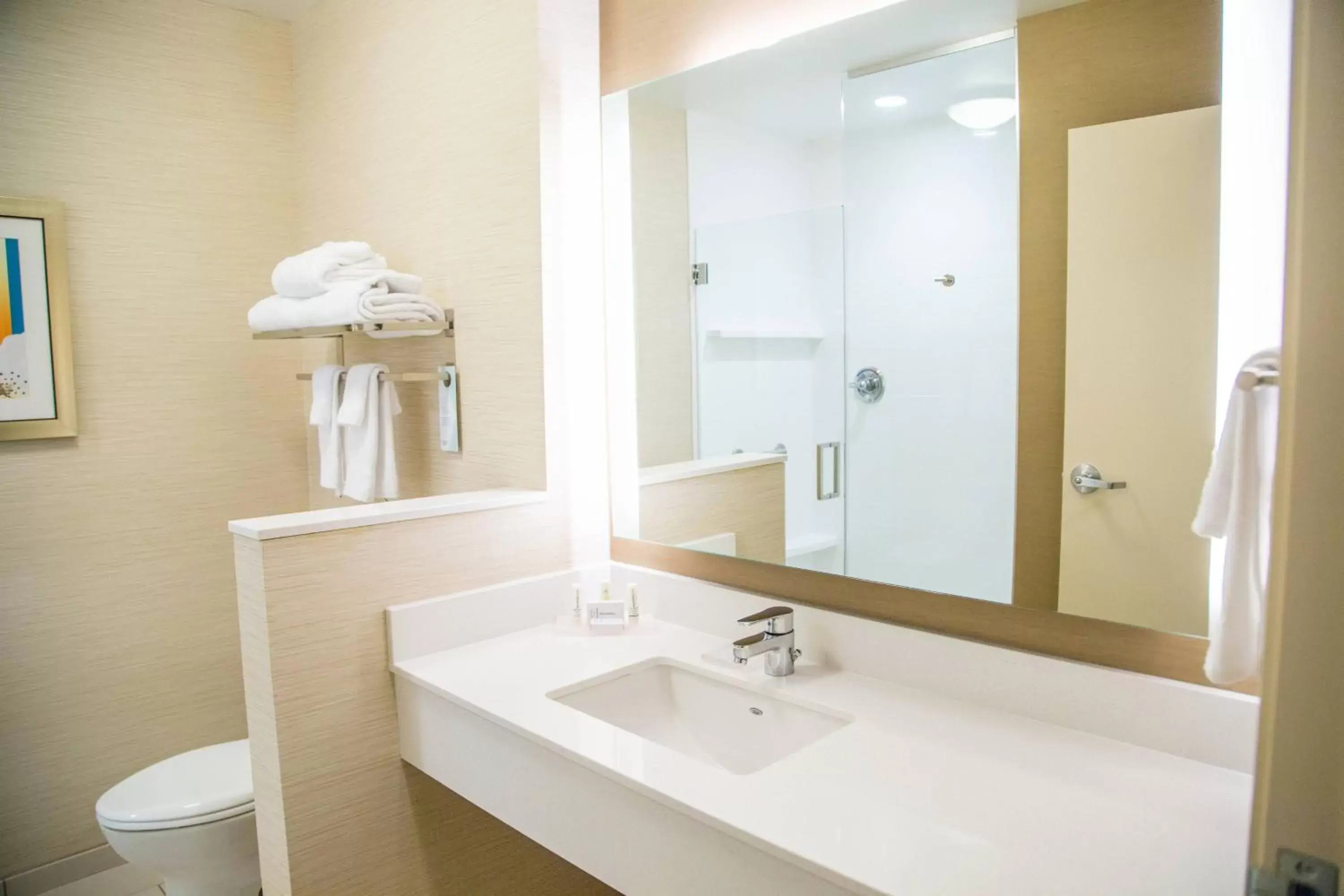 Bathroom in Fairfield Inn & Suites by Marriott Pocatello