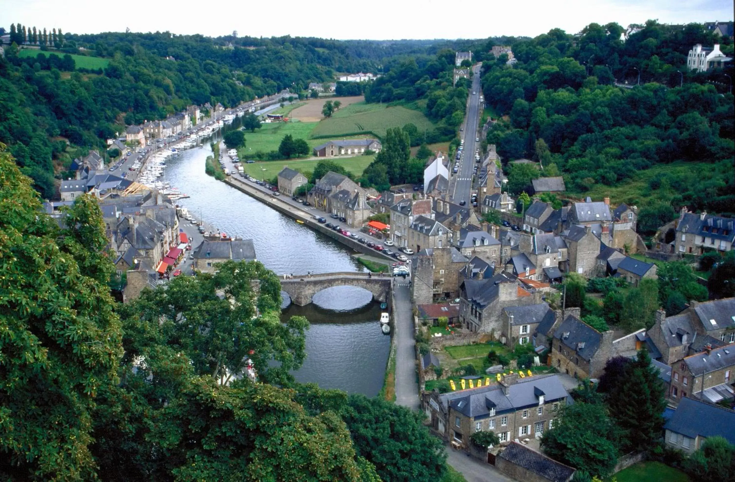 Bird's-eye View in ardoises et agapanthes