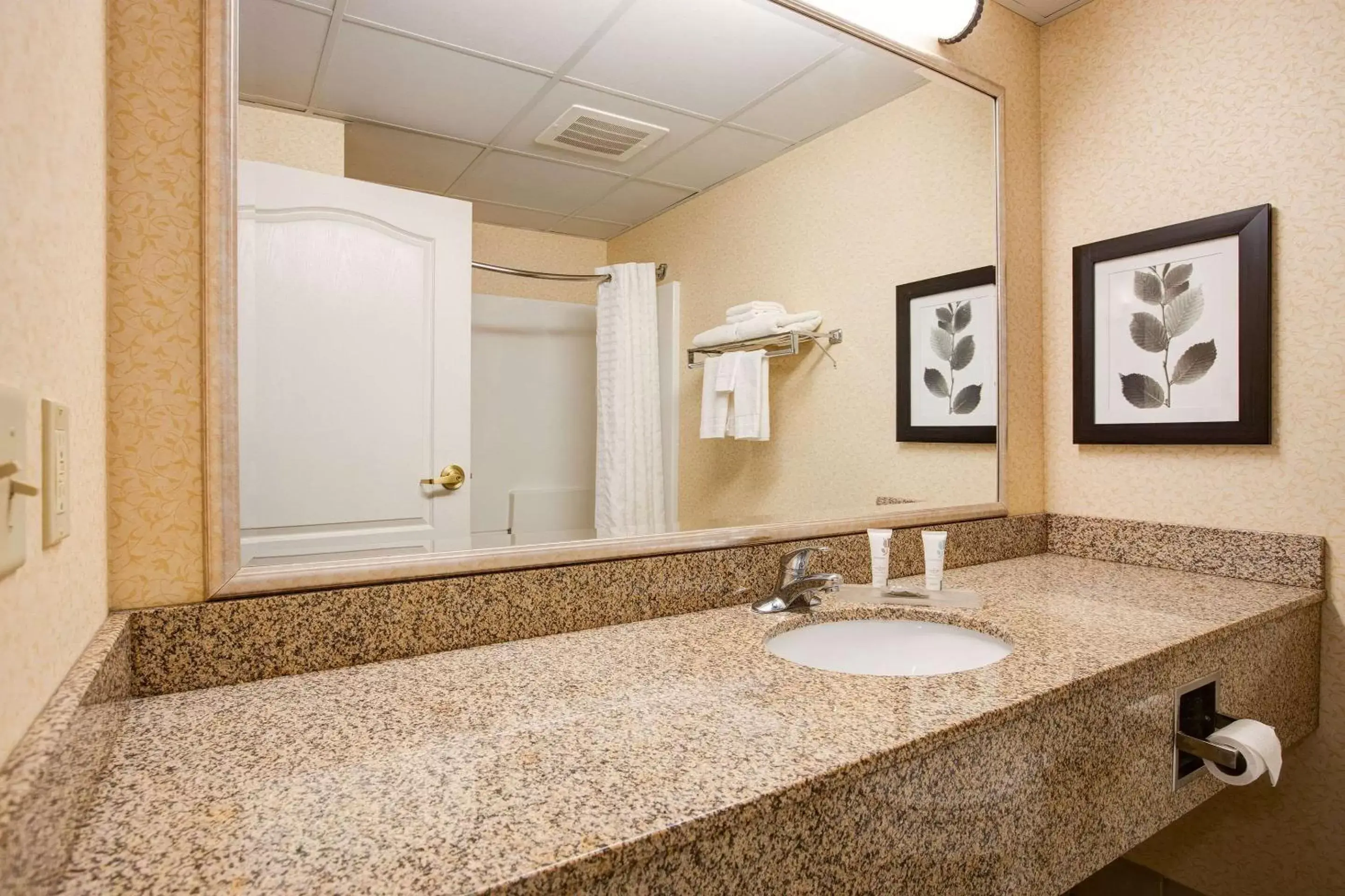 Bedroom, Bathroom in Comfort Inn & Suites St. Paul Northeast