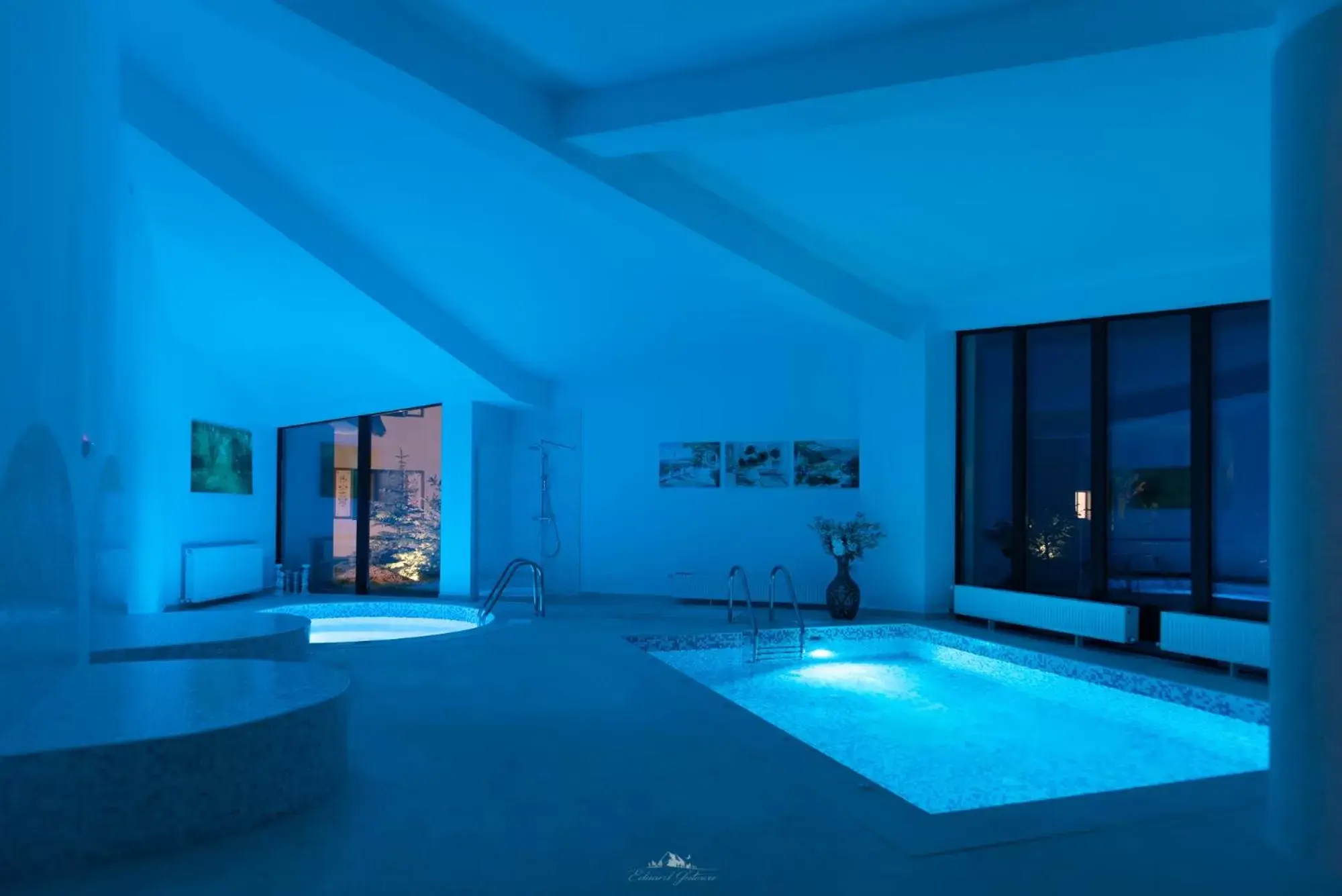 Spa and wellness centre/facilities, Swimming Pool in Wolkendorf Bio Hotel & Spa