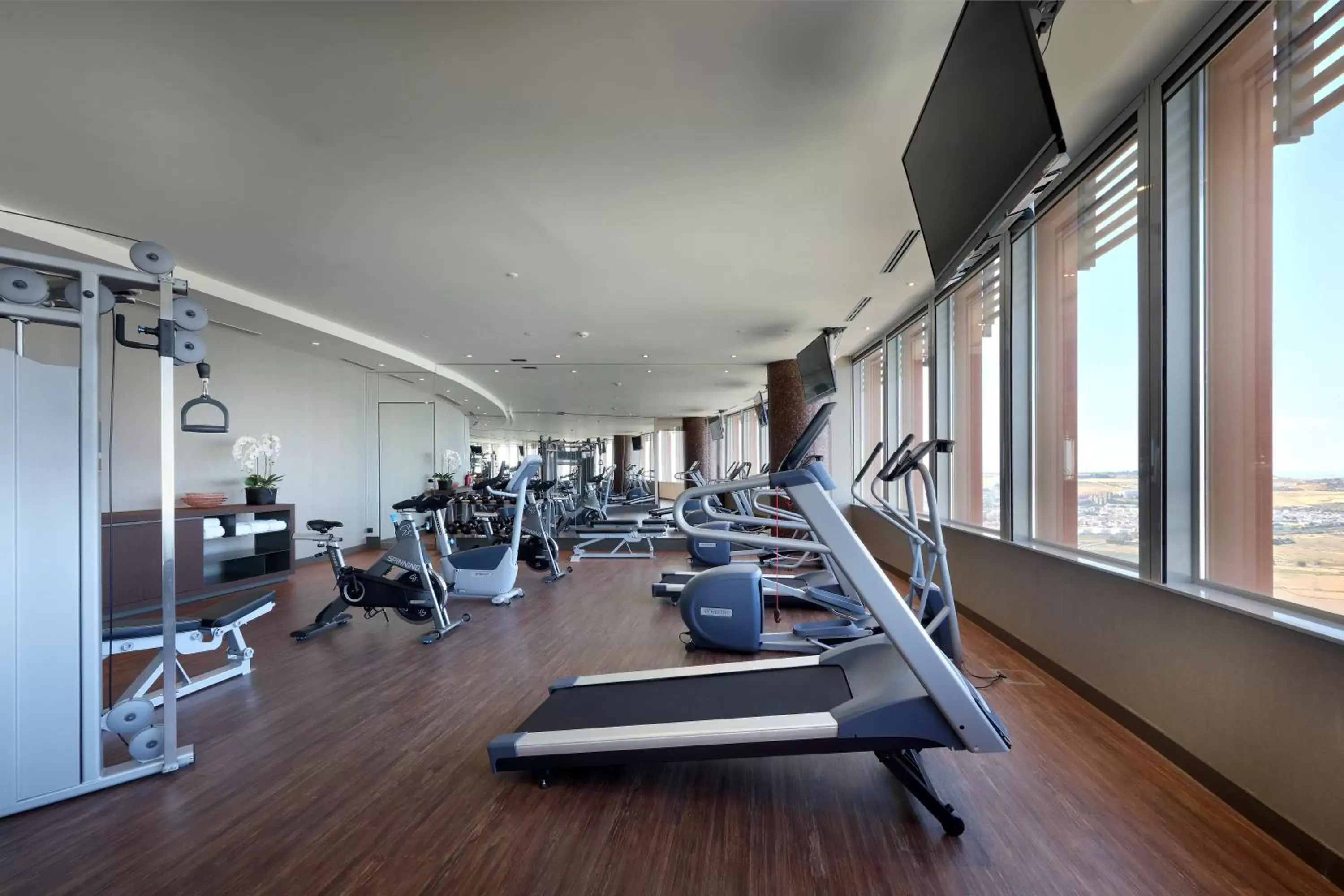 Fitness centre/facilities in Eurostars Torre Sevilla
