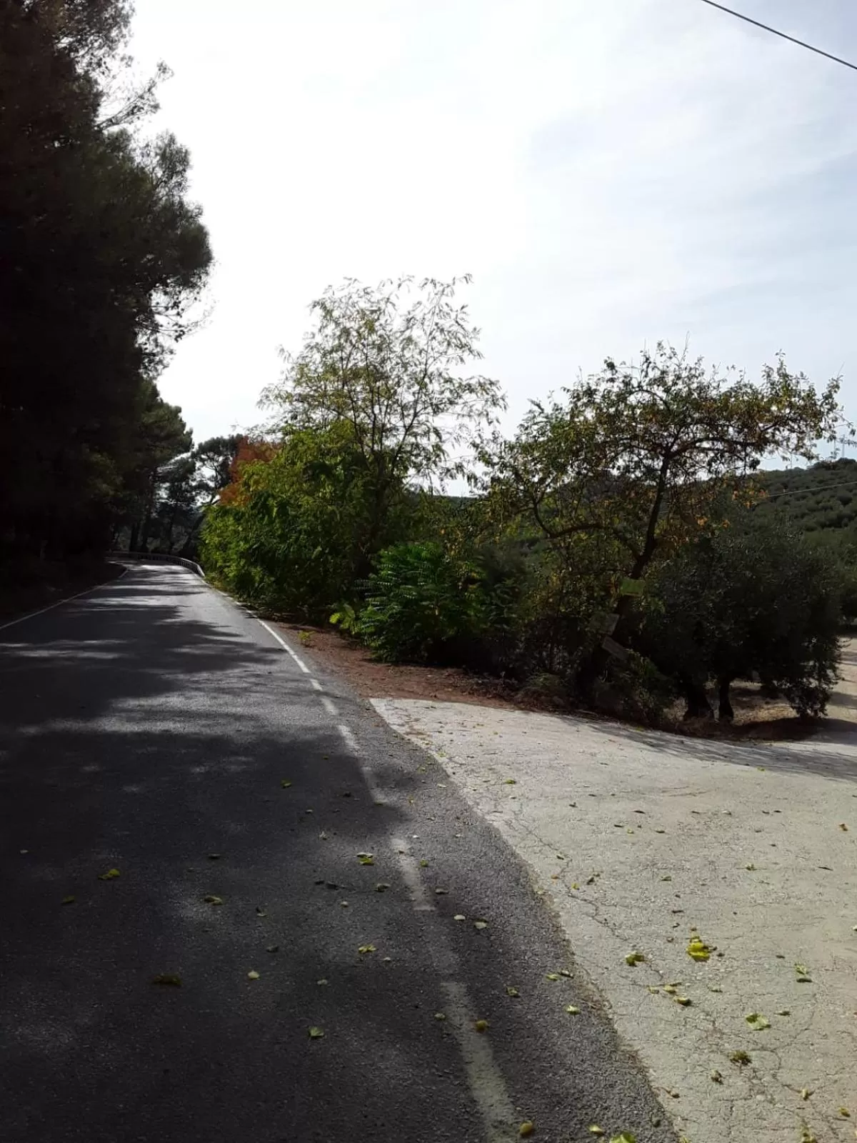 Hacienda la buena vida B&B en appartementen