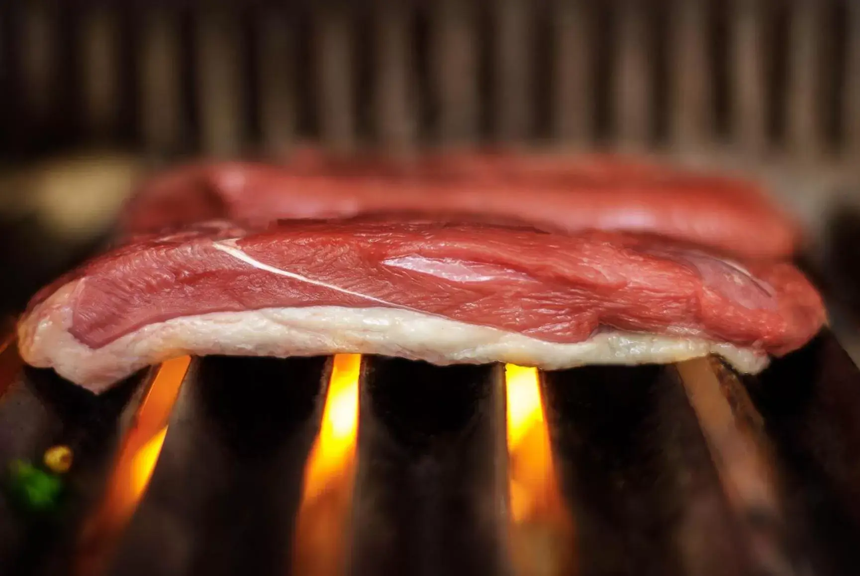 BBQ facilities in Logis Hotel Lons-le-Saunier - Restaurant Le Grill