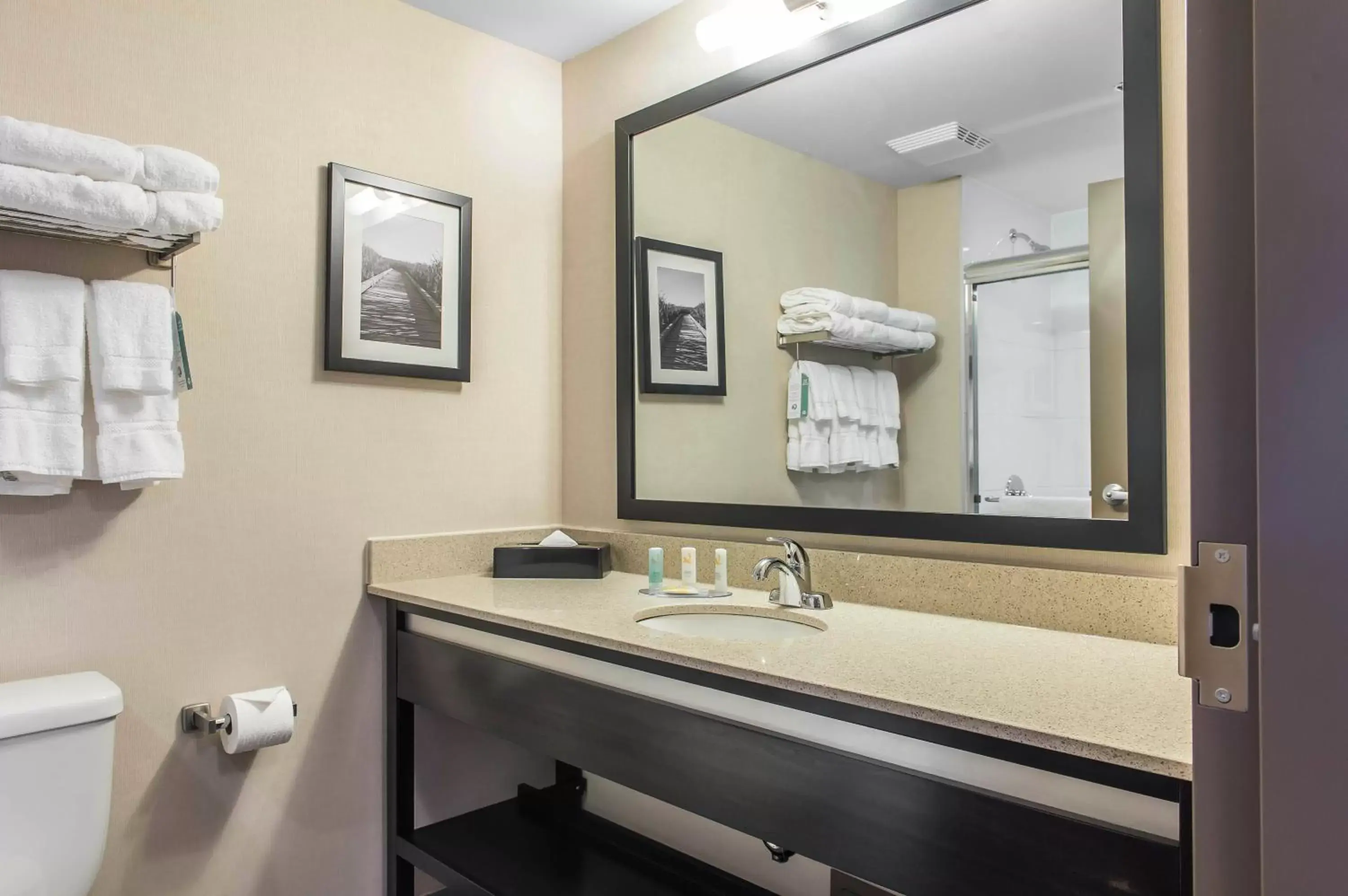 Bathroom in Quality Inn & Suites Kingston