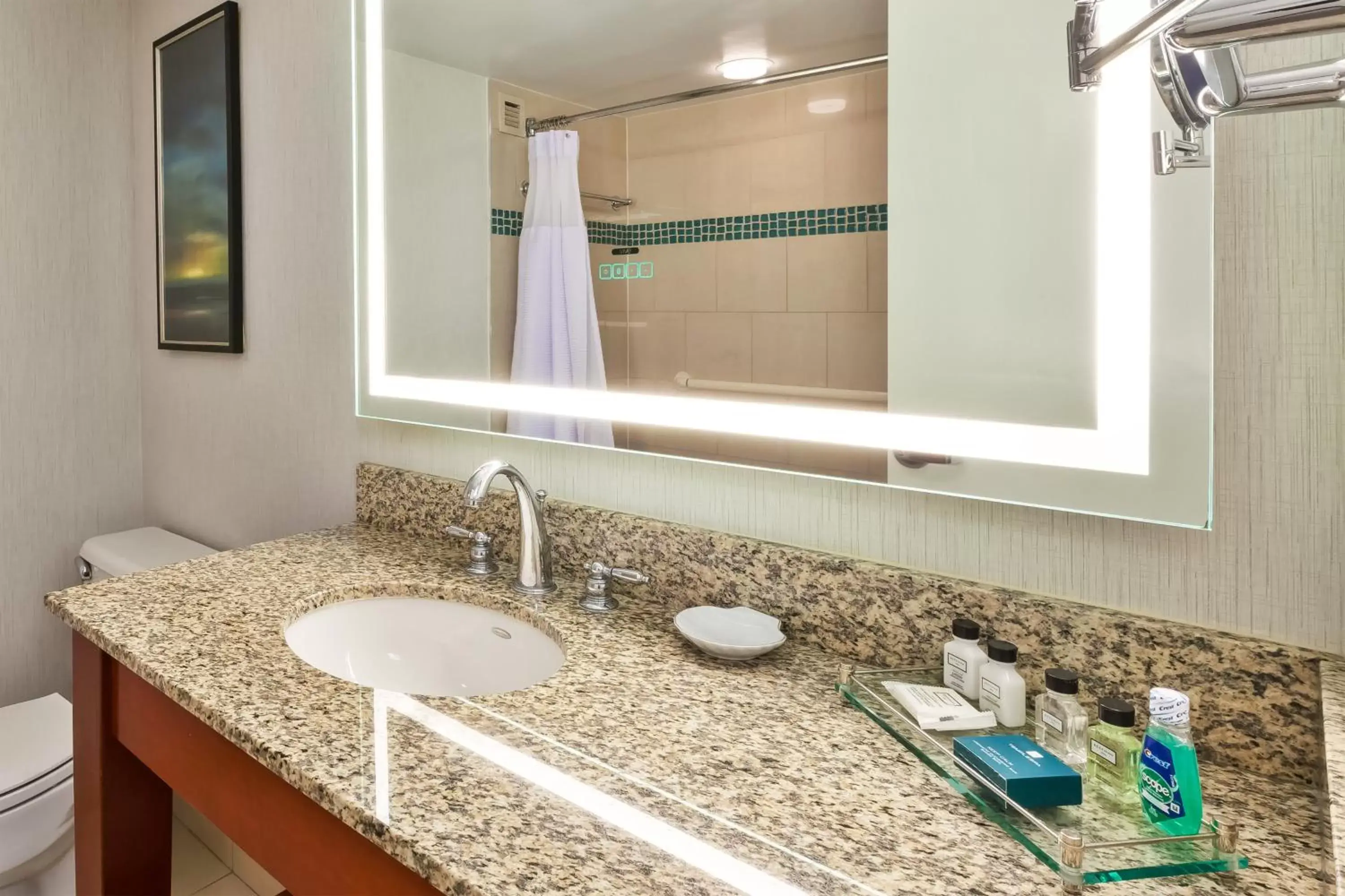 Bedroom, Bathroom in Crowne Plaza Dulles Airport, an IHG Hotel