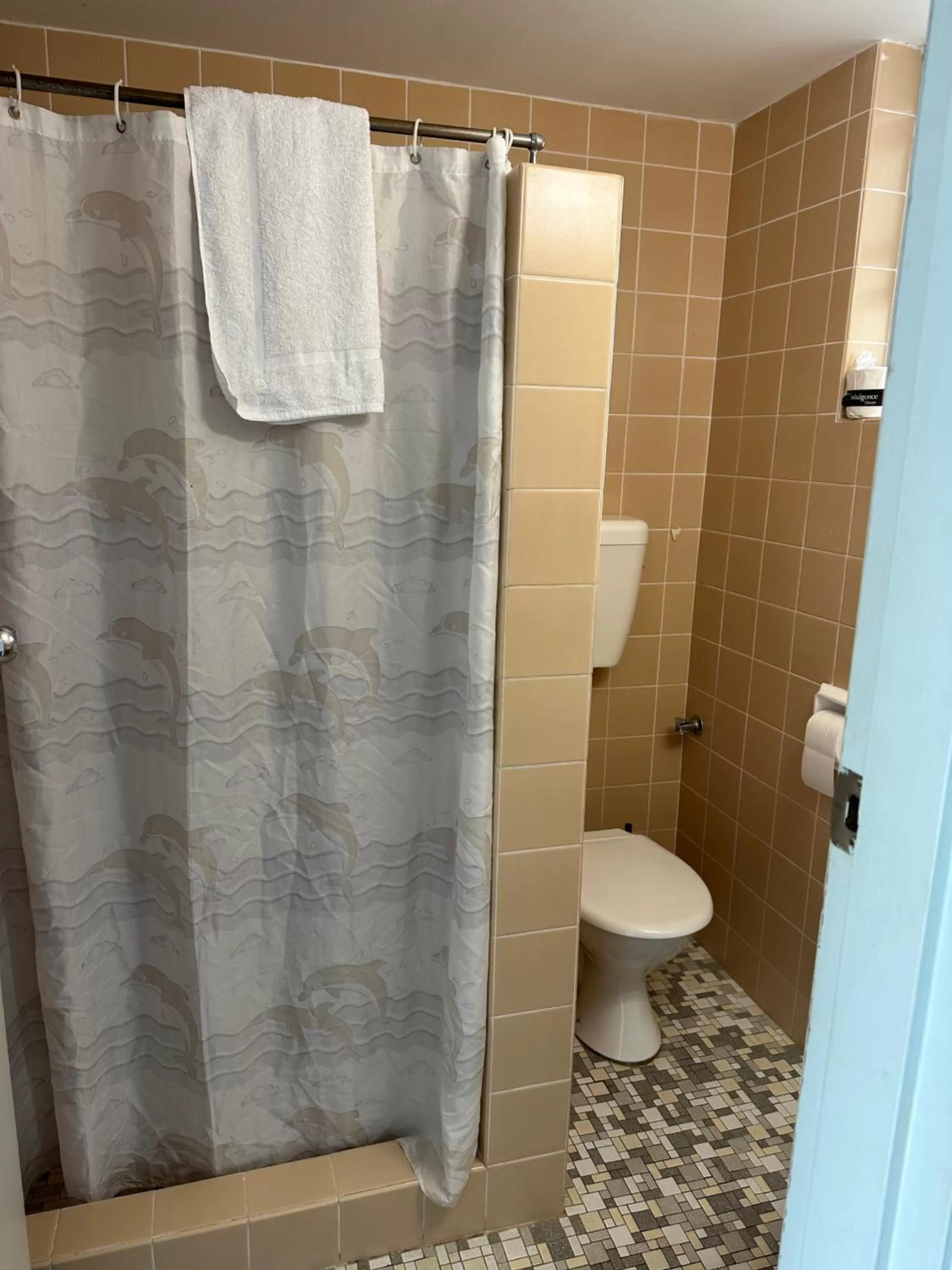 Bathroom in Ettalong Beach motel