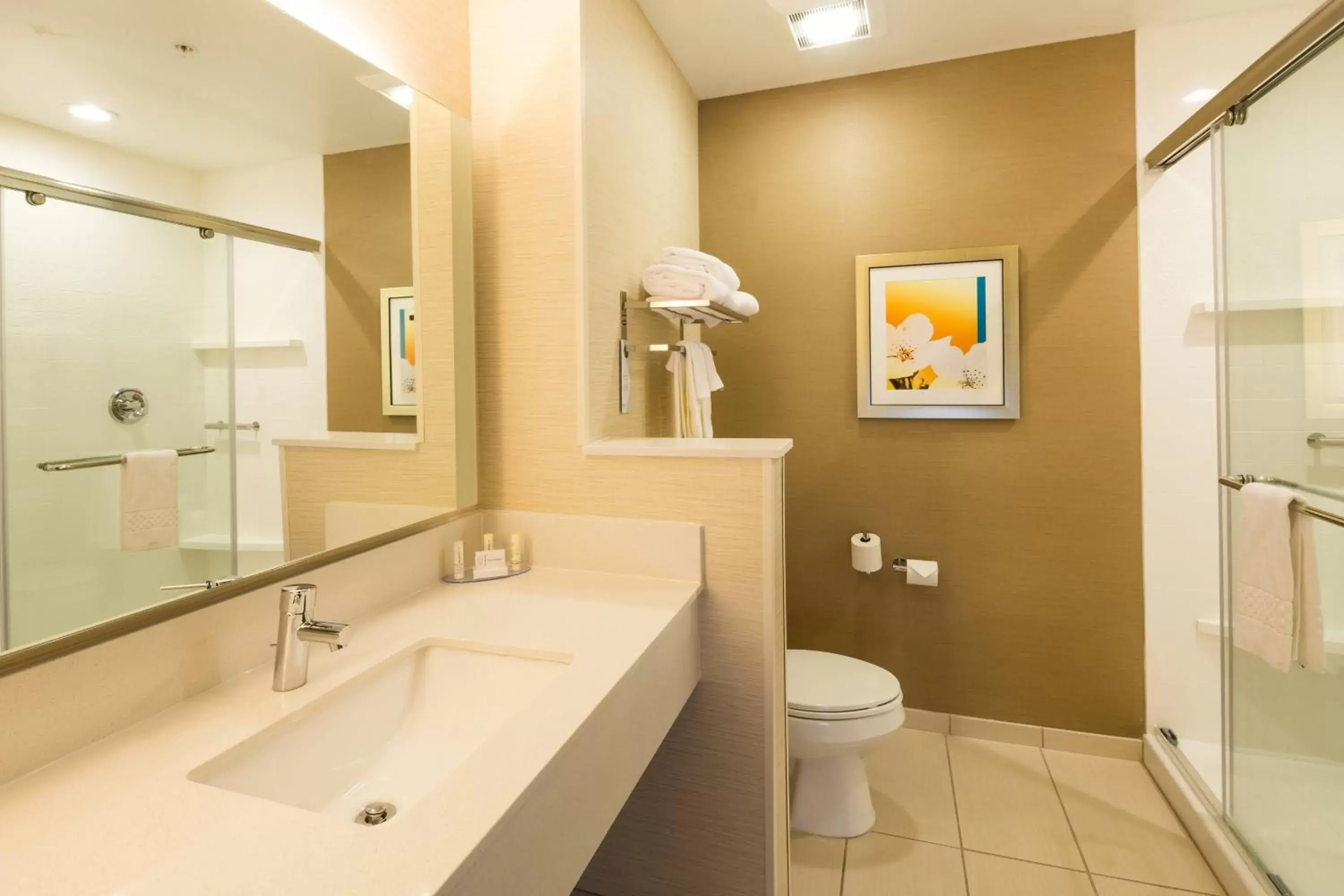 Bathroom in Fairfield Inn & Suites by Marriott Detroit Chesterfield