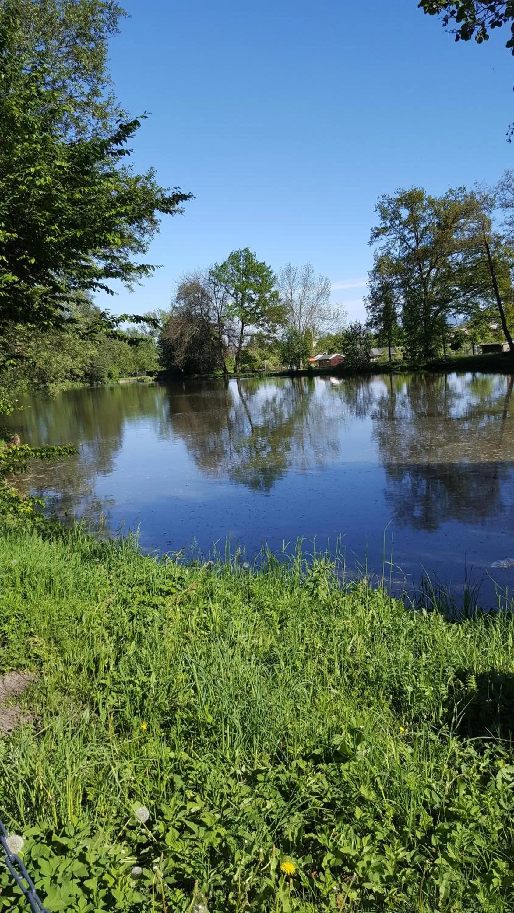 Natural landscape in Hotel Weberhof