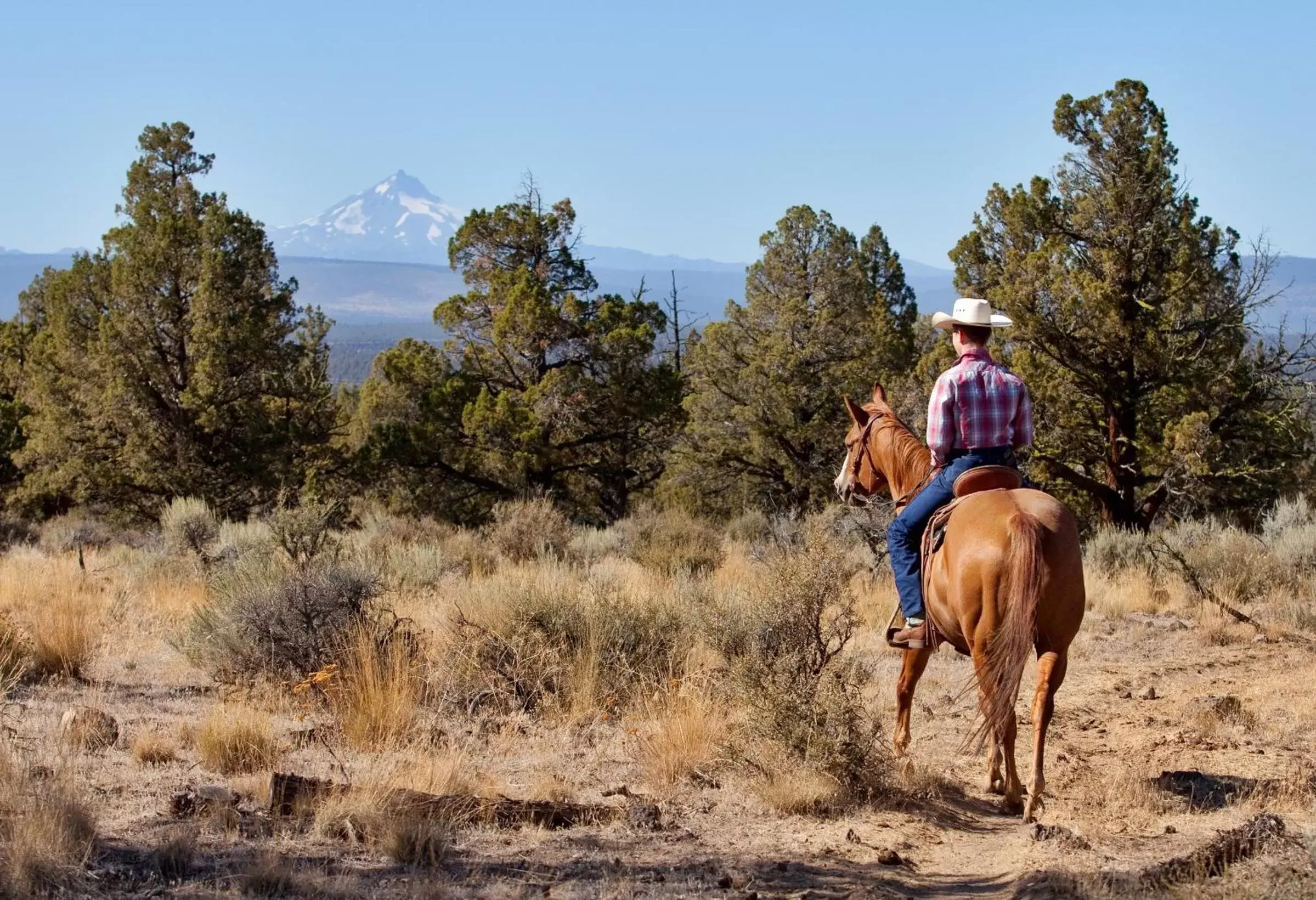 Horse-riding, Horseback Riding in The Lodge at Eagle Crest