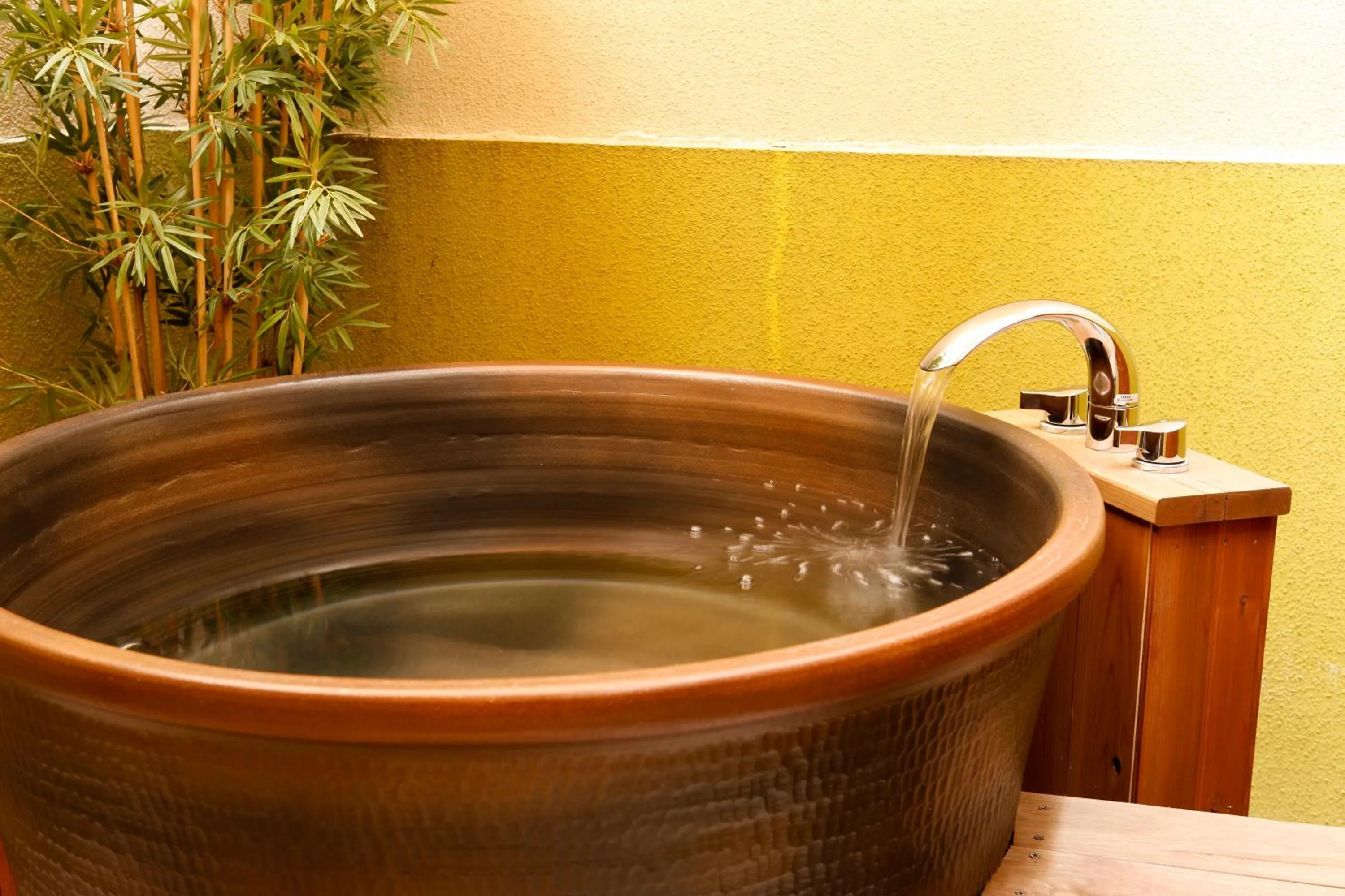 Junior Suite in Hotel & Spa Lotus (Adult Only)