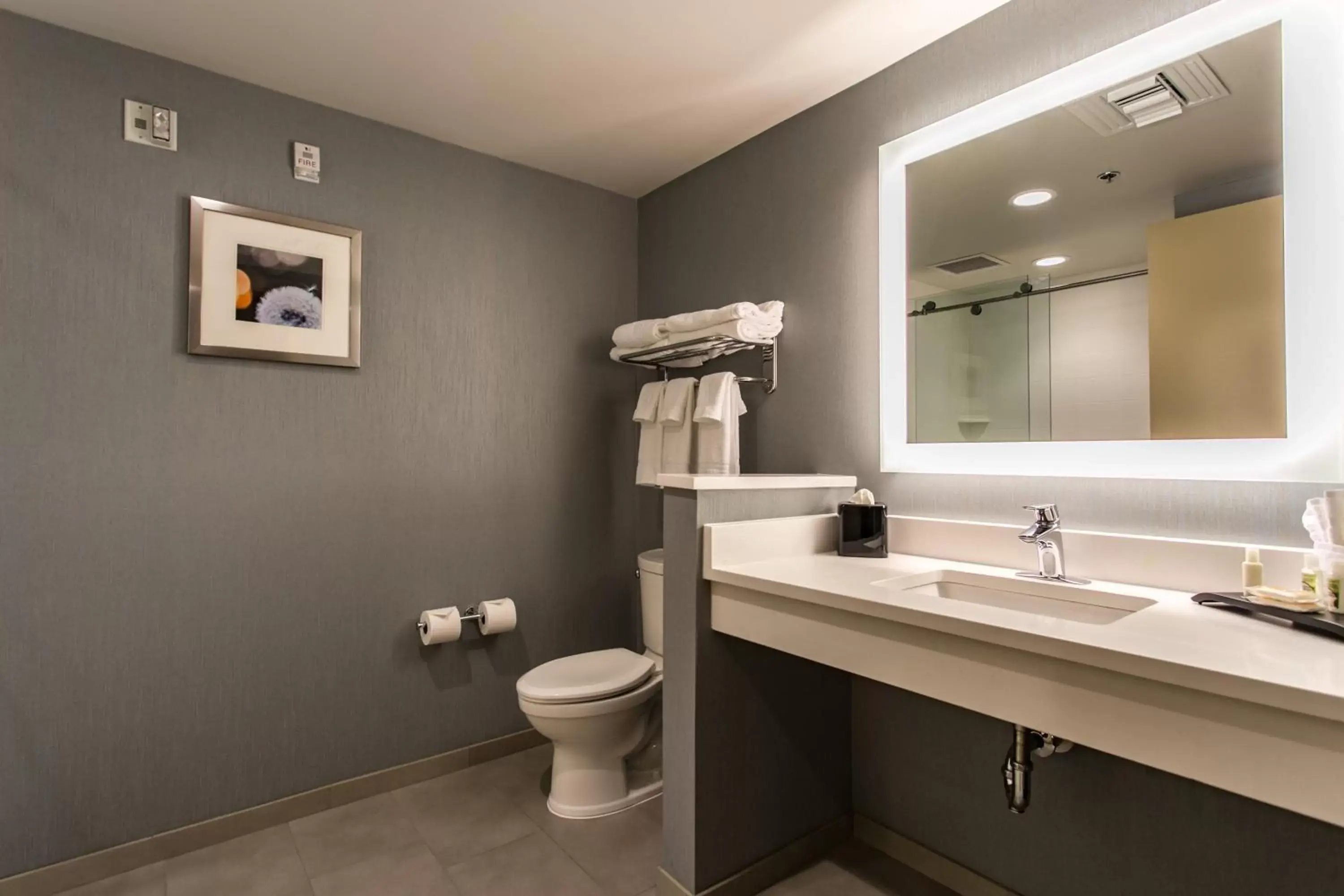 Bathroom in Holiday Inn Hotel & Suites Chattanooga, an IHG Hotel