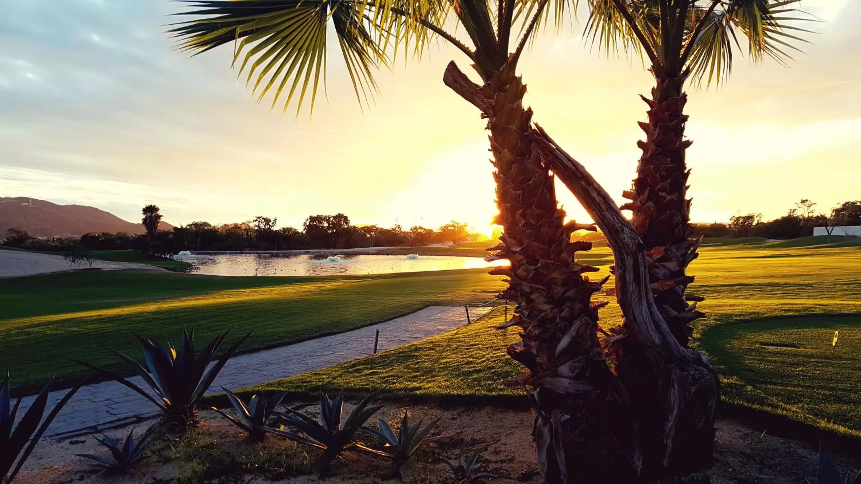 Los Cabos Golf Resort, Trademark Collection by Wyndham