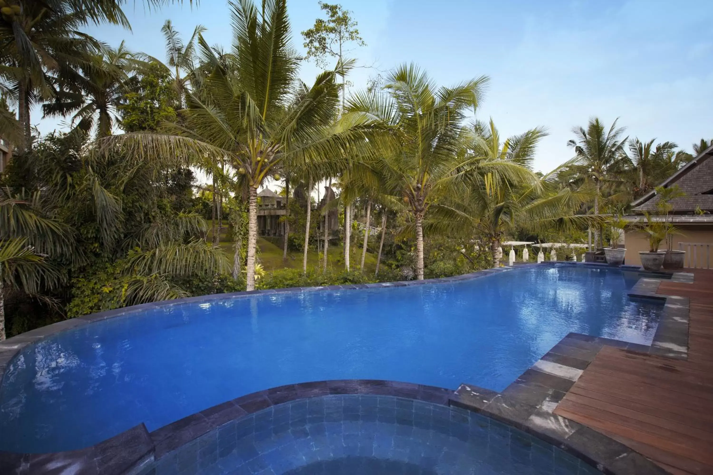 Swimming Pool in Wapa di Ume Ubud