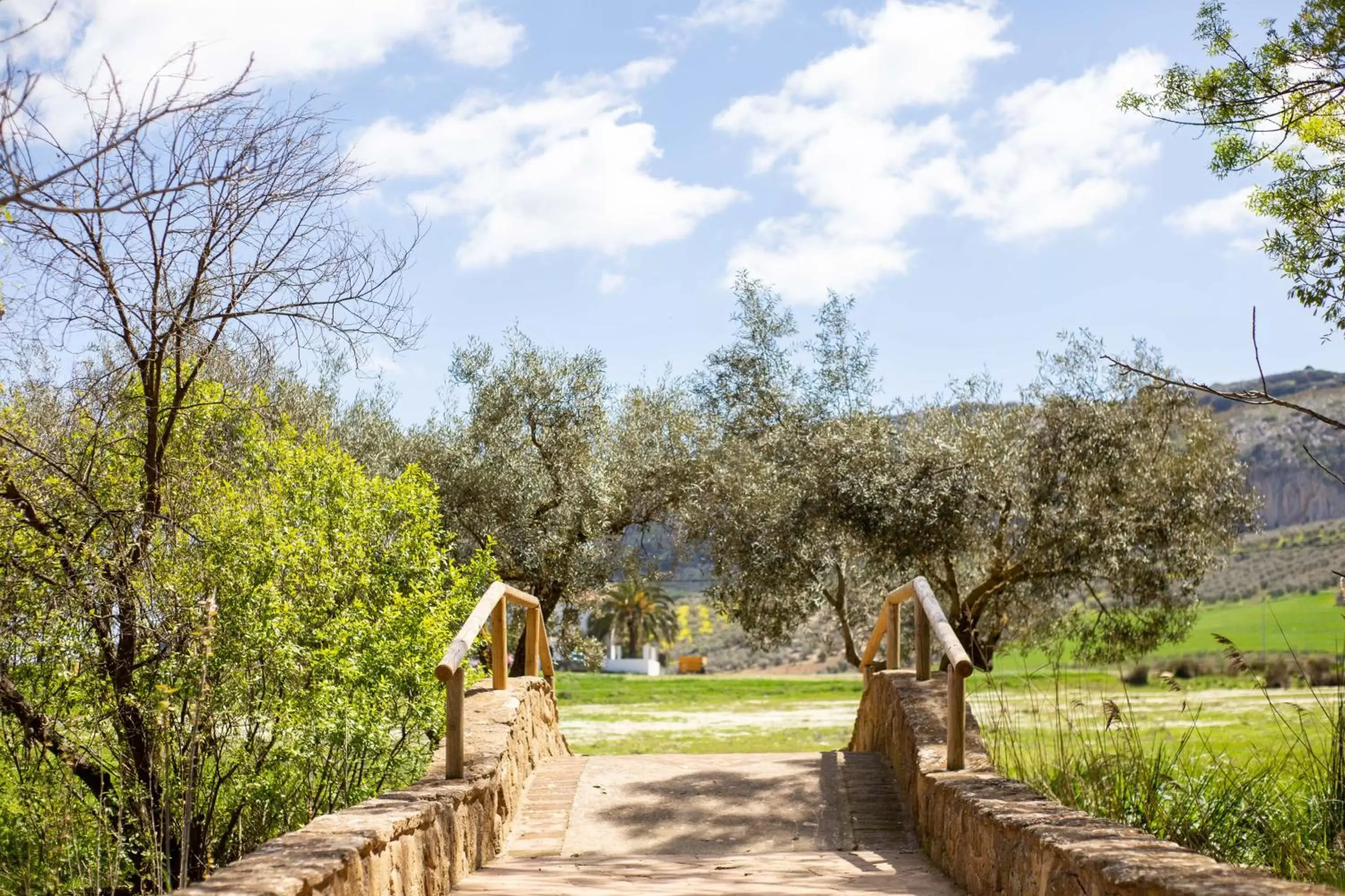 Nearby landmark, Garden in Hotel Rural El Castillejo