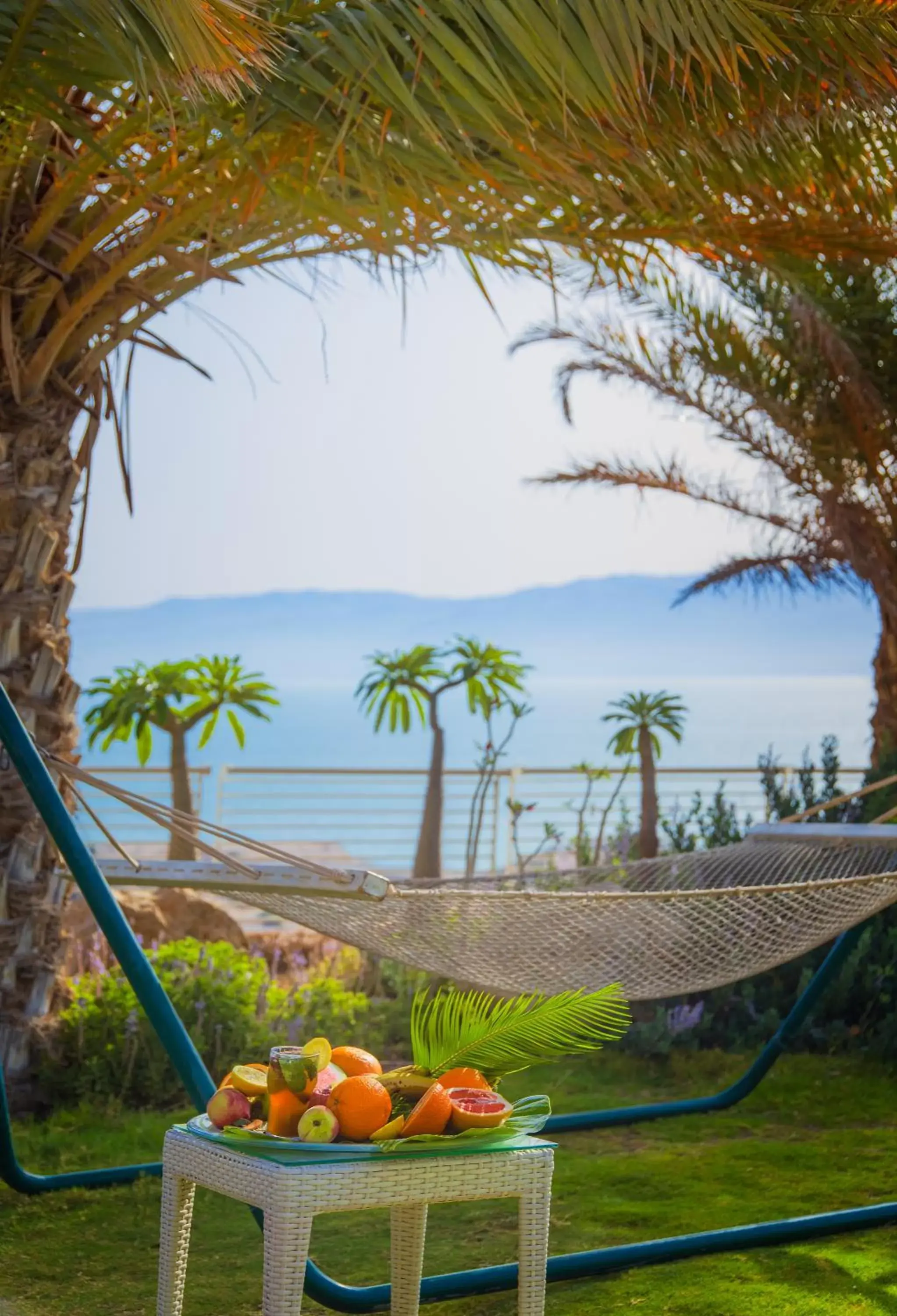 Garden in Ein Gedi Kibbutz Hotel