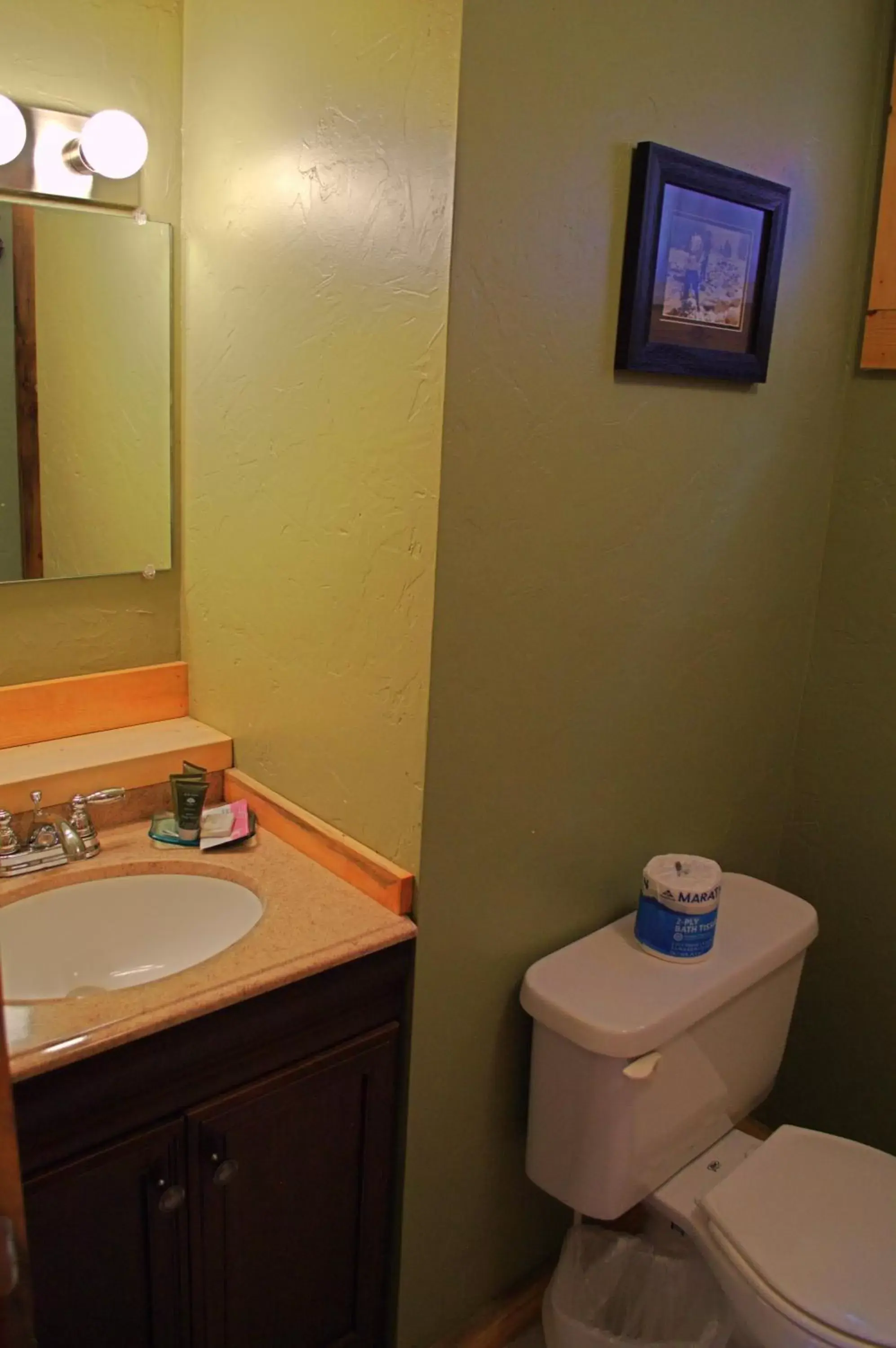 Bathroom in High Country Motel and Cabins
