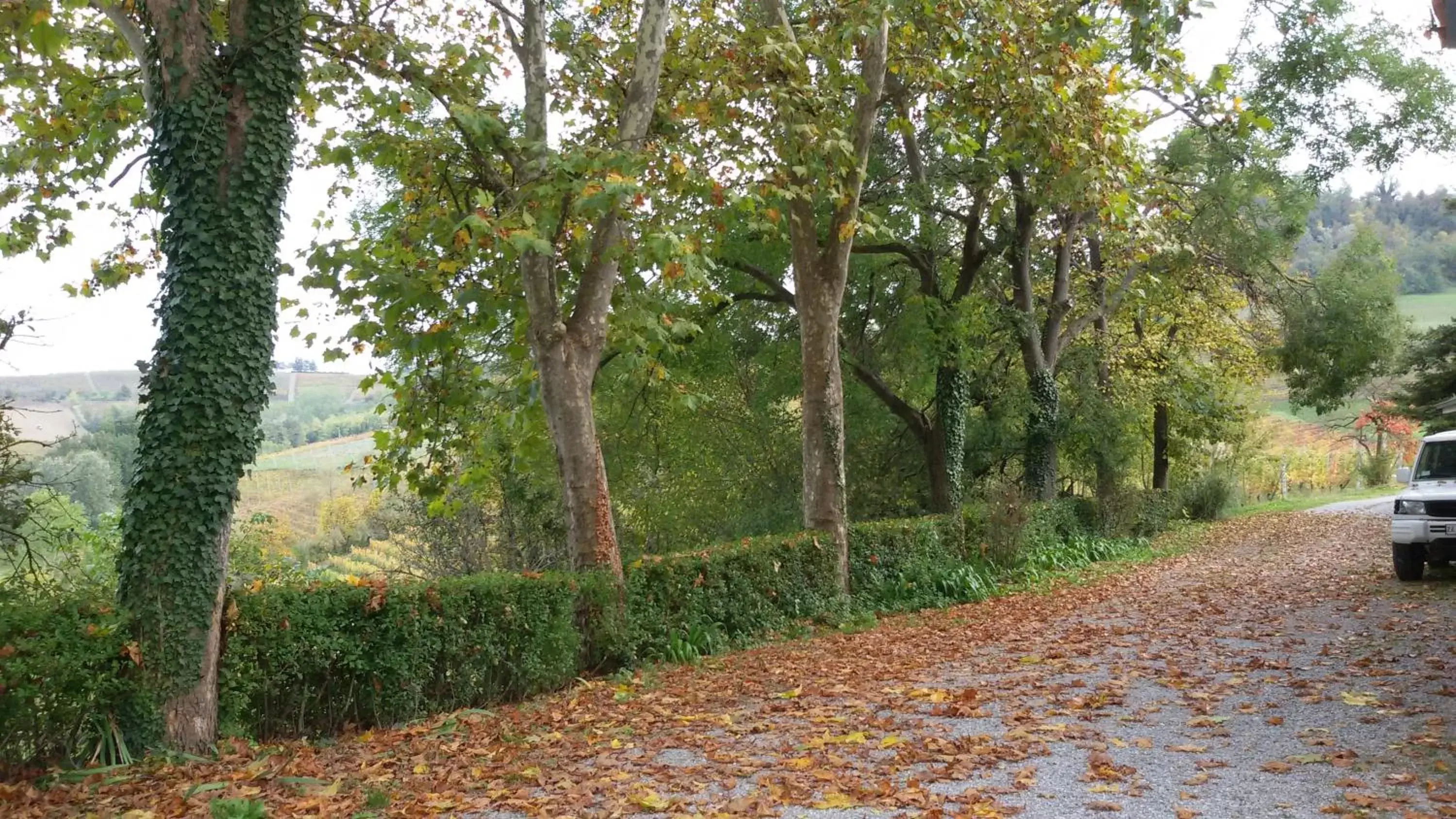 Neighbourhood in Cascina Torello