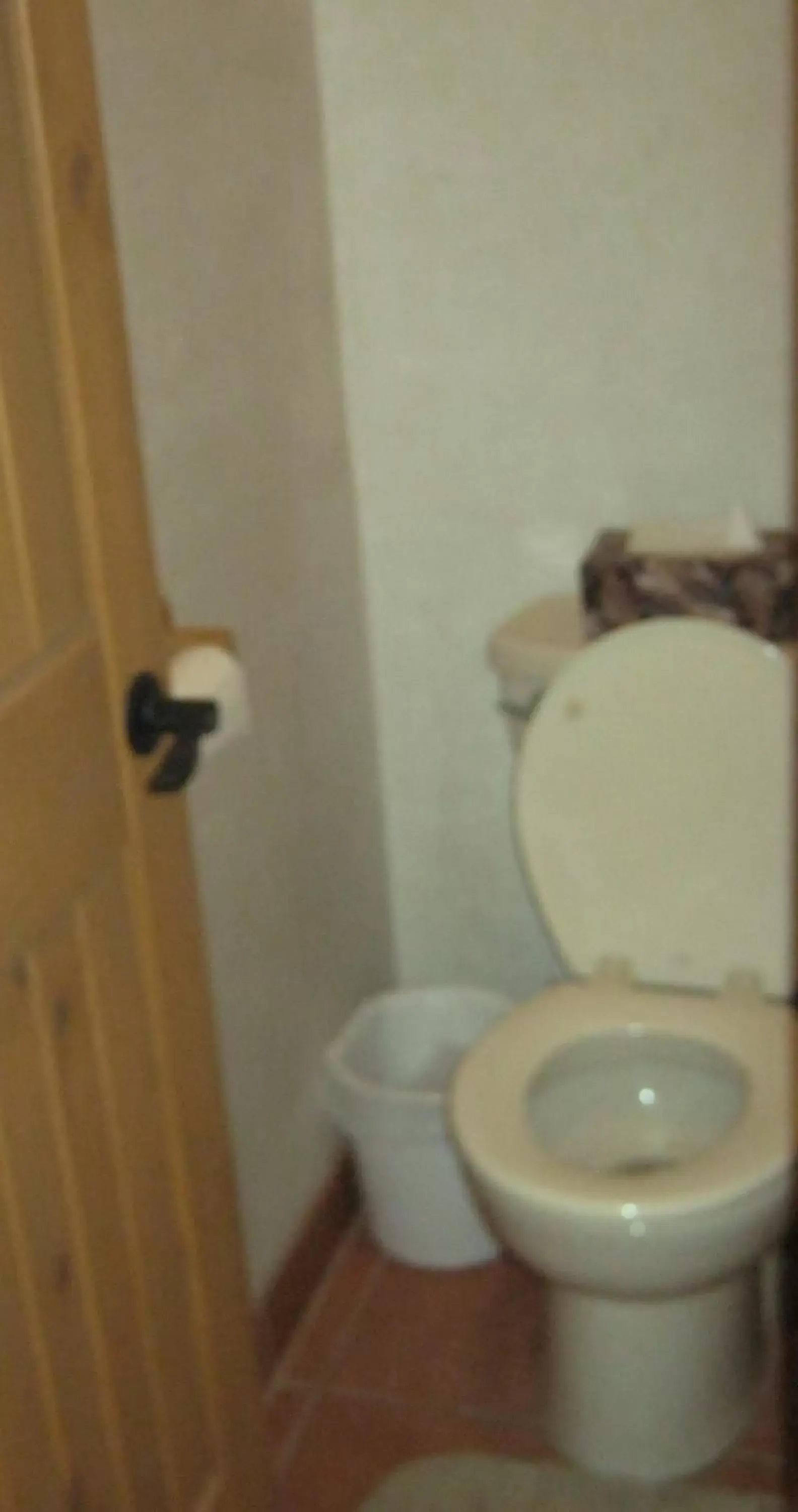 Toilet, Bathroom in Shady Brook Inn Village/Resort