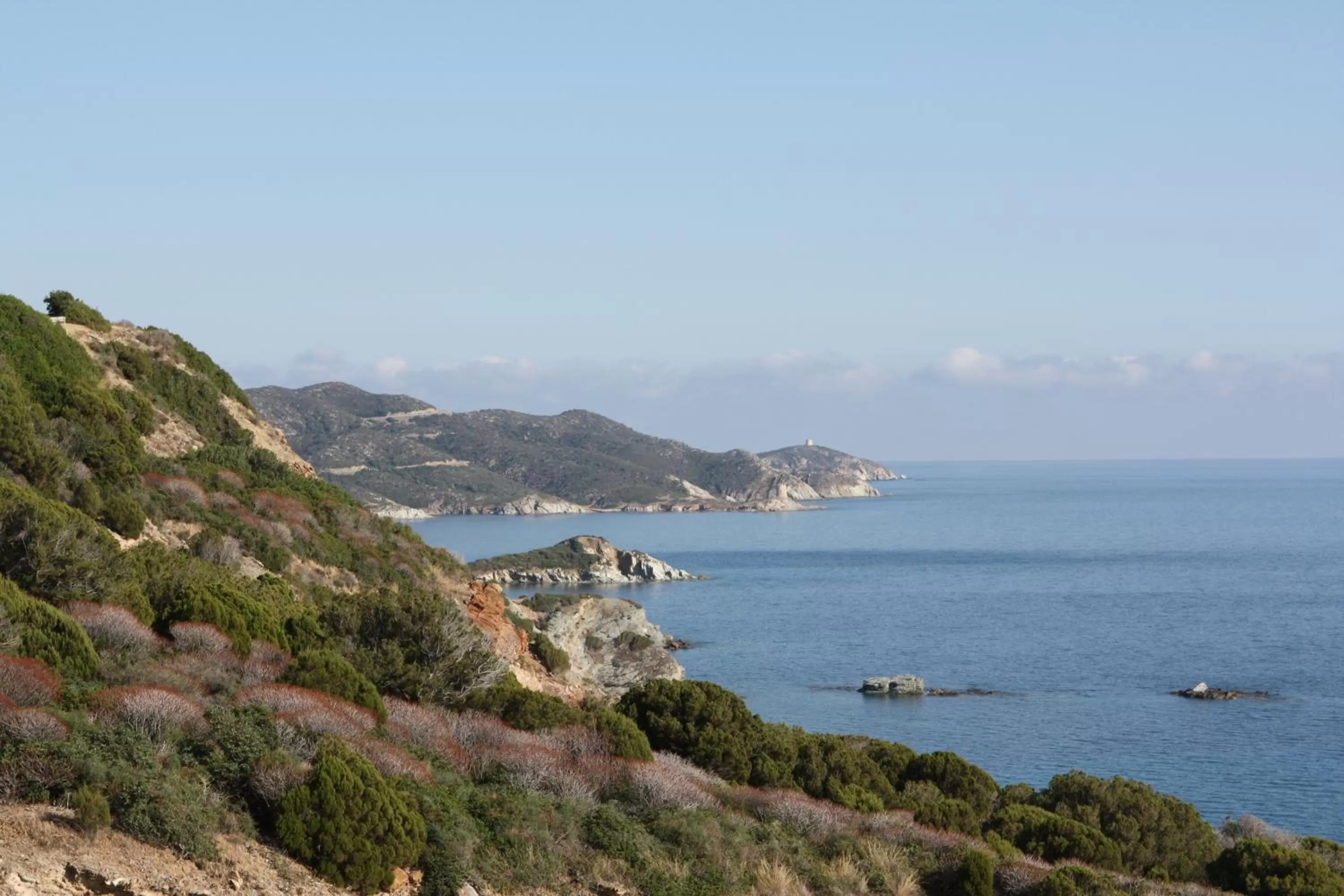 Area and facilities in Hotel Jasmine