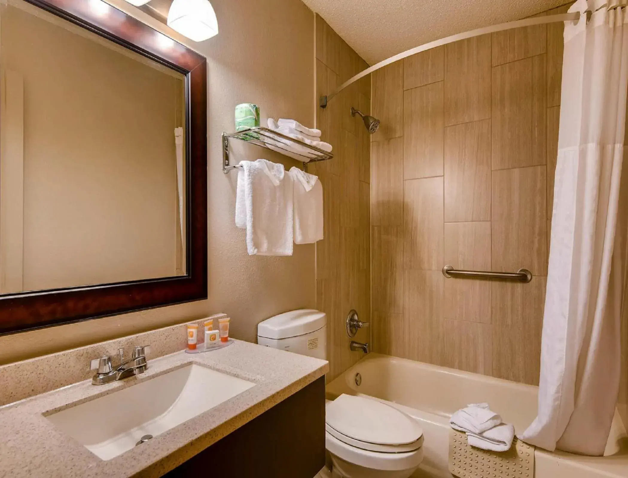 Bathroom in Orangewood Inn and Suites Midtown
