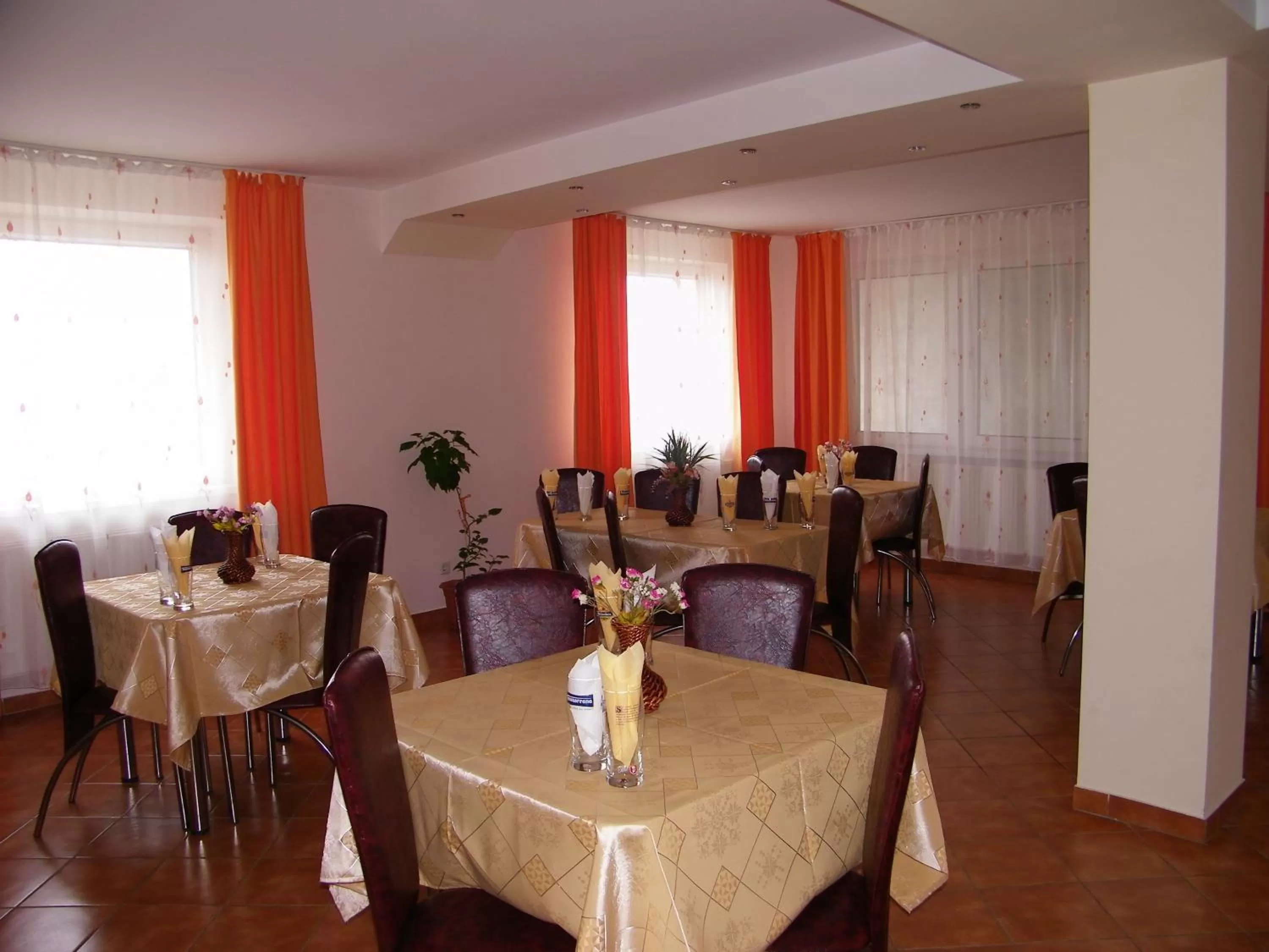 Food and drinks, Restaurant/Places to Eat in Vi La Ski Petrosani