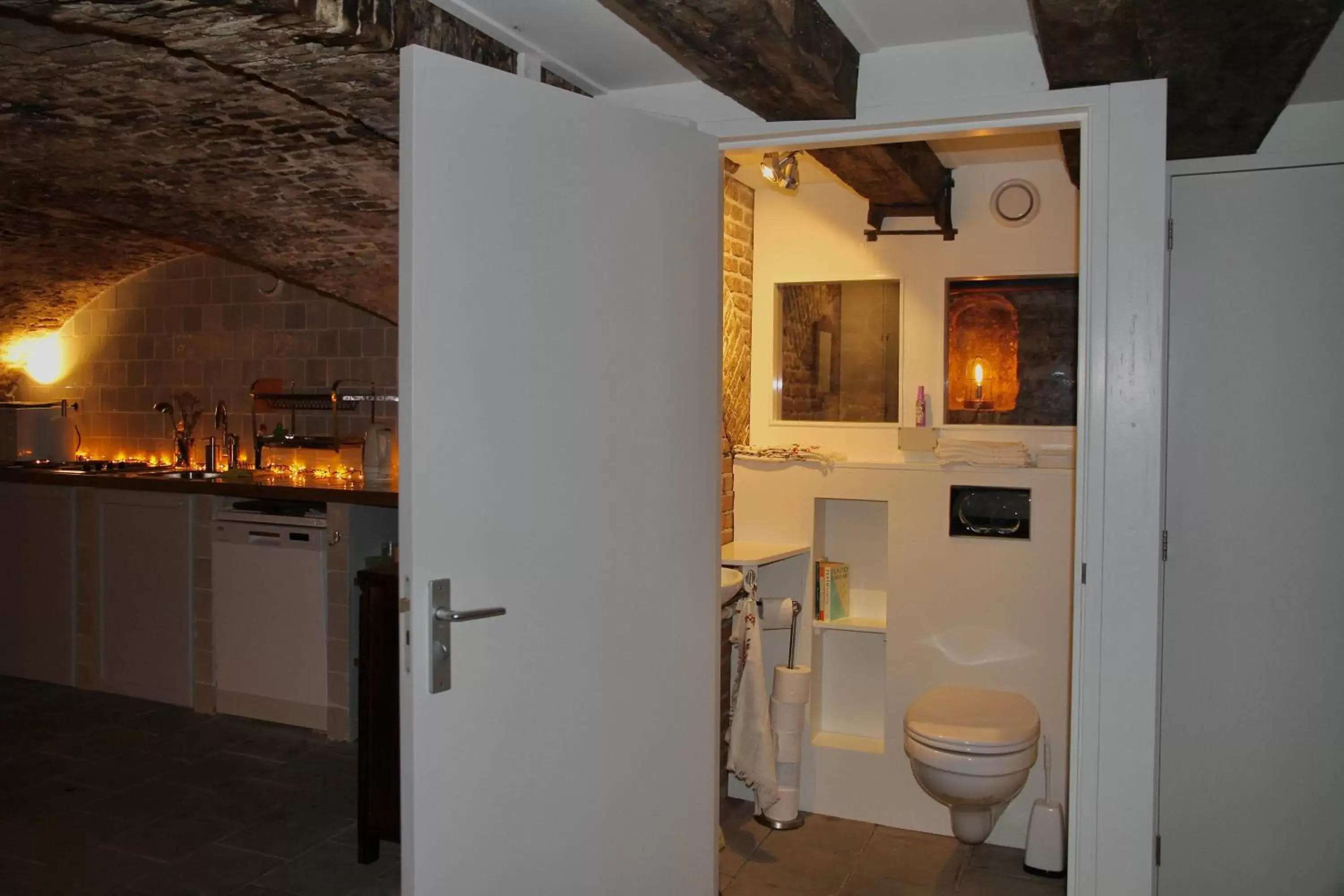 Toilet, Bathroom in Top apartment along canal in historic centre