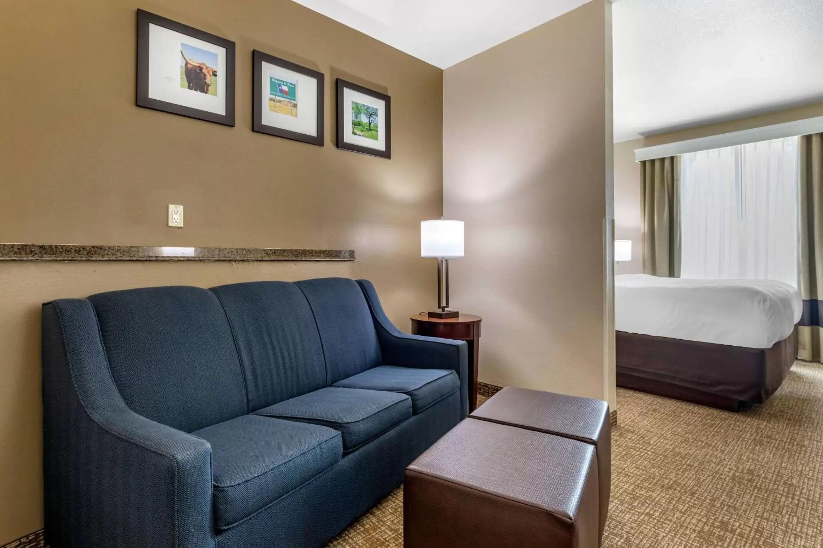 Photo of the whole room in Comfort Inn & Suites Near Lake Lewisville