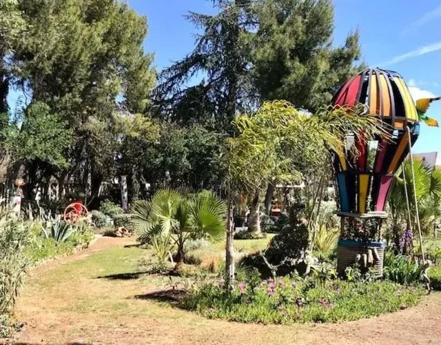 Garden view, Garden in La cactée singulière