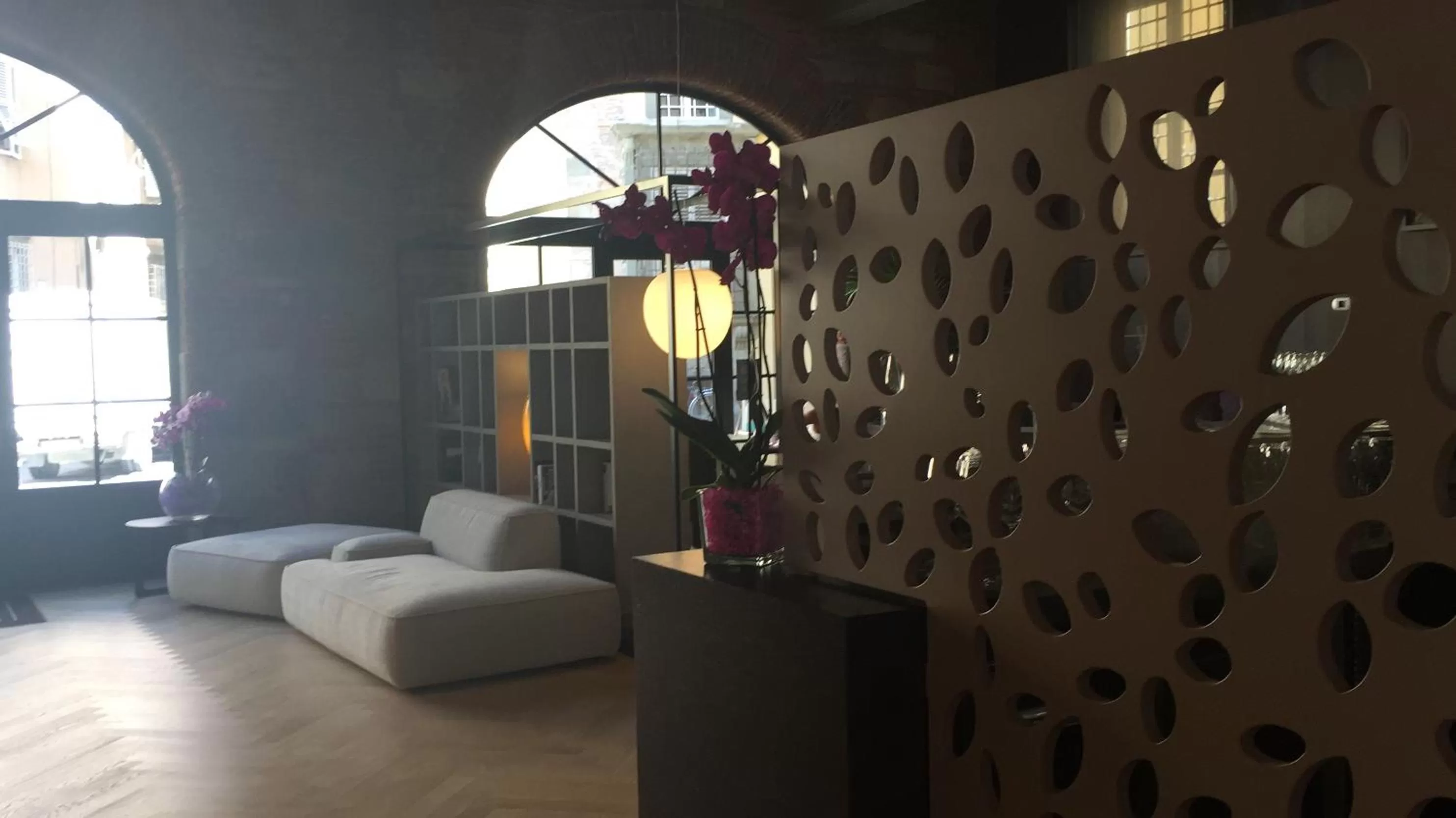 Library in Palazzo Dipinto