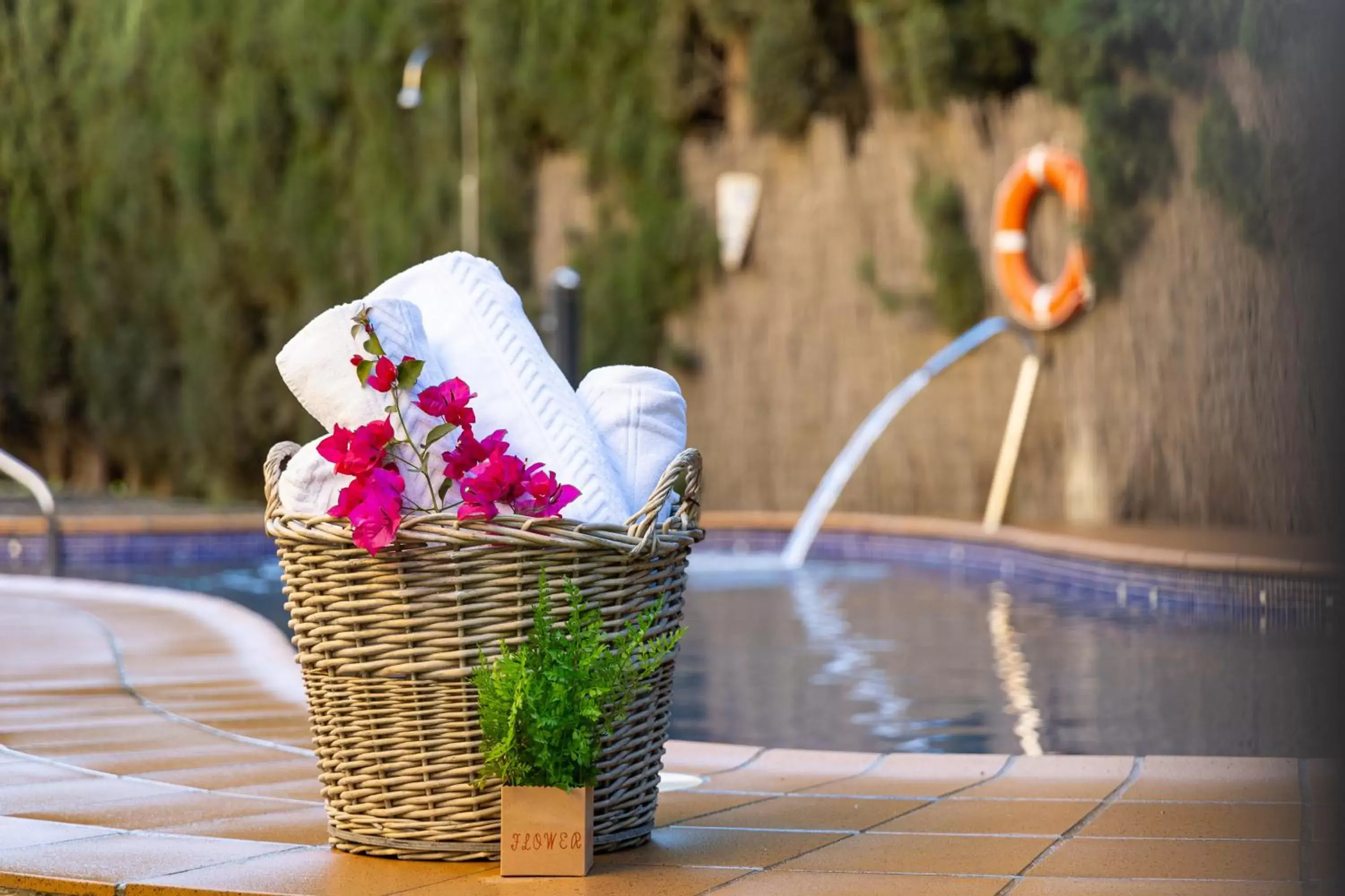 Decorative detail, Swimming Pool in Hotel Plaza Del Castillo