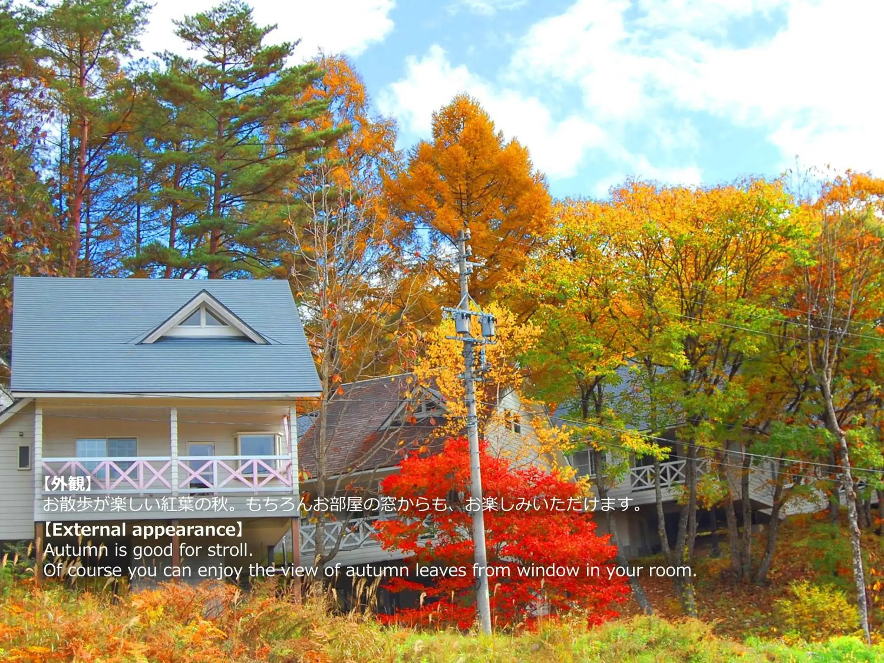 Autumn, Property Building in Resort Villa Takayama