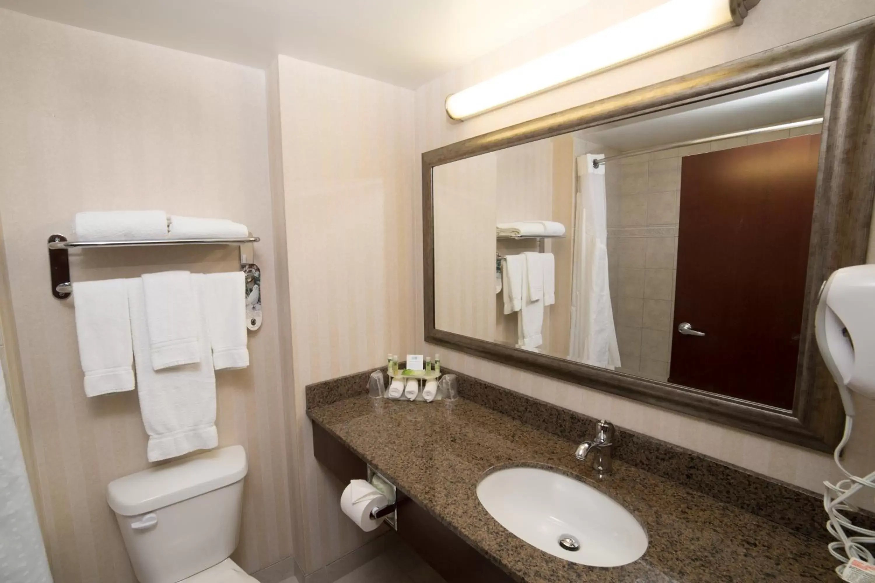 Bathroom in Holiday Inn Express Hotel & Suites - Slave Lake, an IHG Hotel