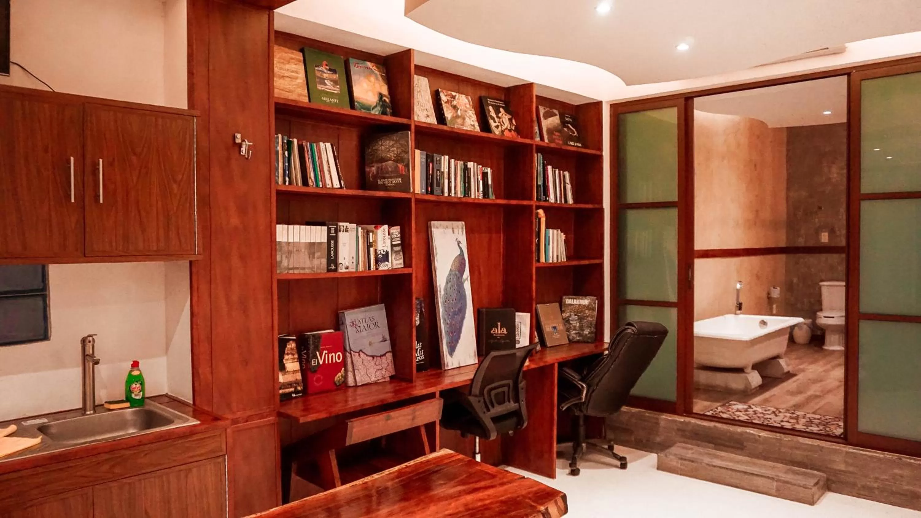 Library in Apartamentos "Ala Residencias"