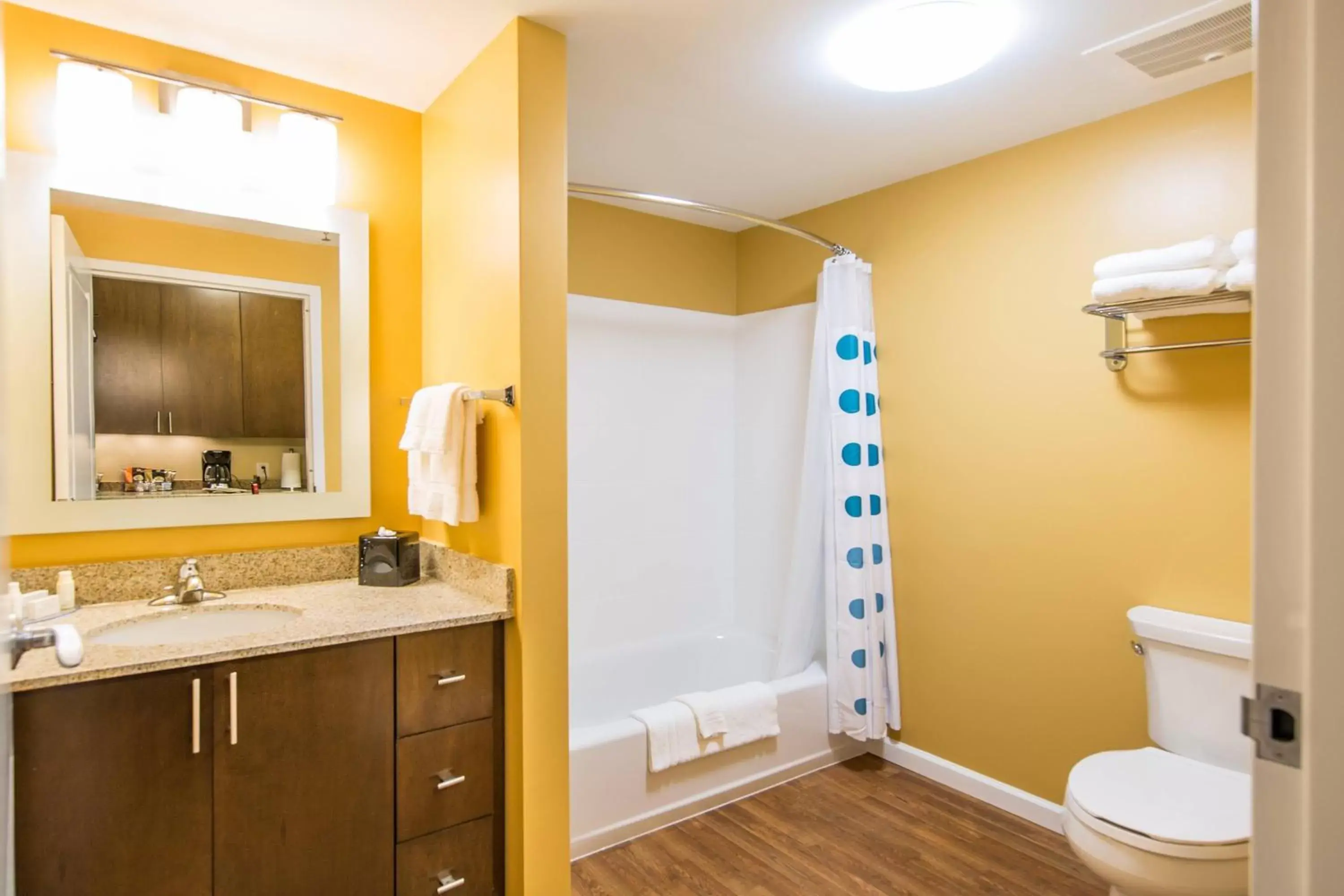 Bathroom in TownePlace Suites by Marriott Florence