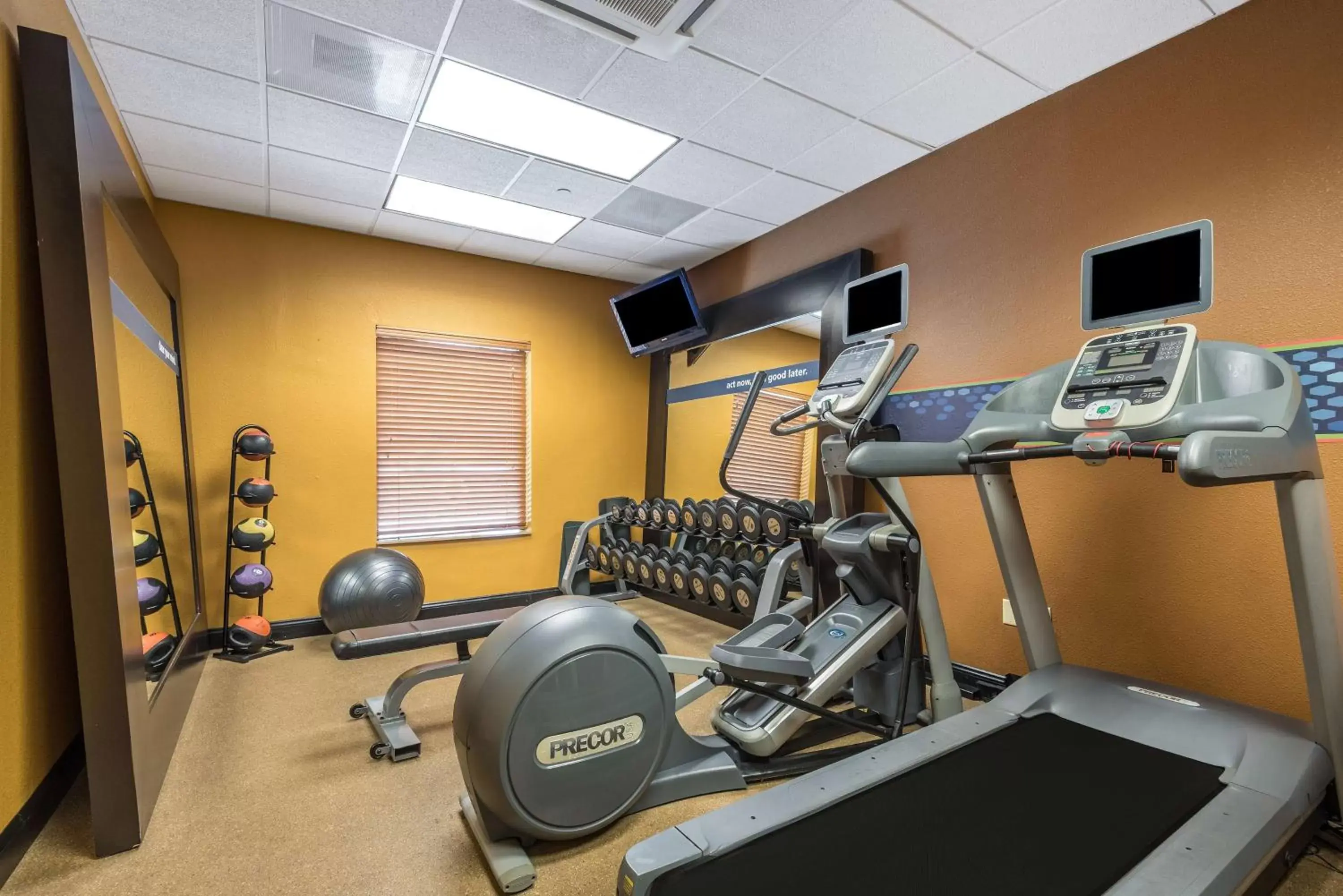 Fitness centre/facilities, Fitness Center/Facilities in Hampton Inn & Suites Orlando-South Lake Buena Vista