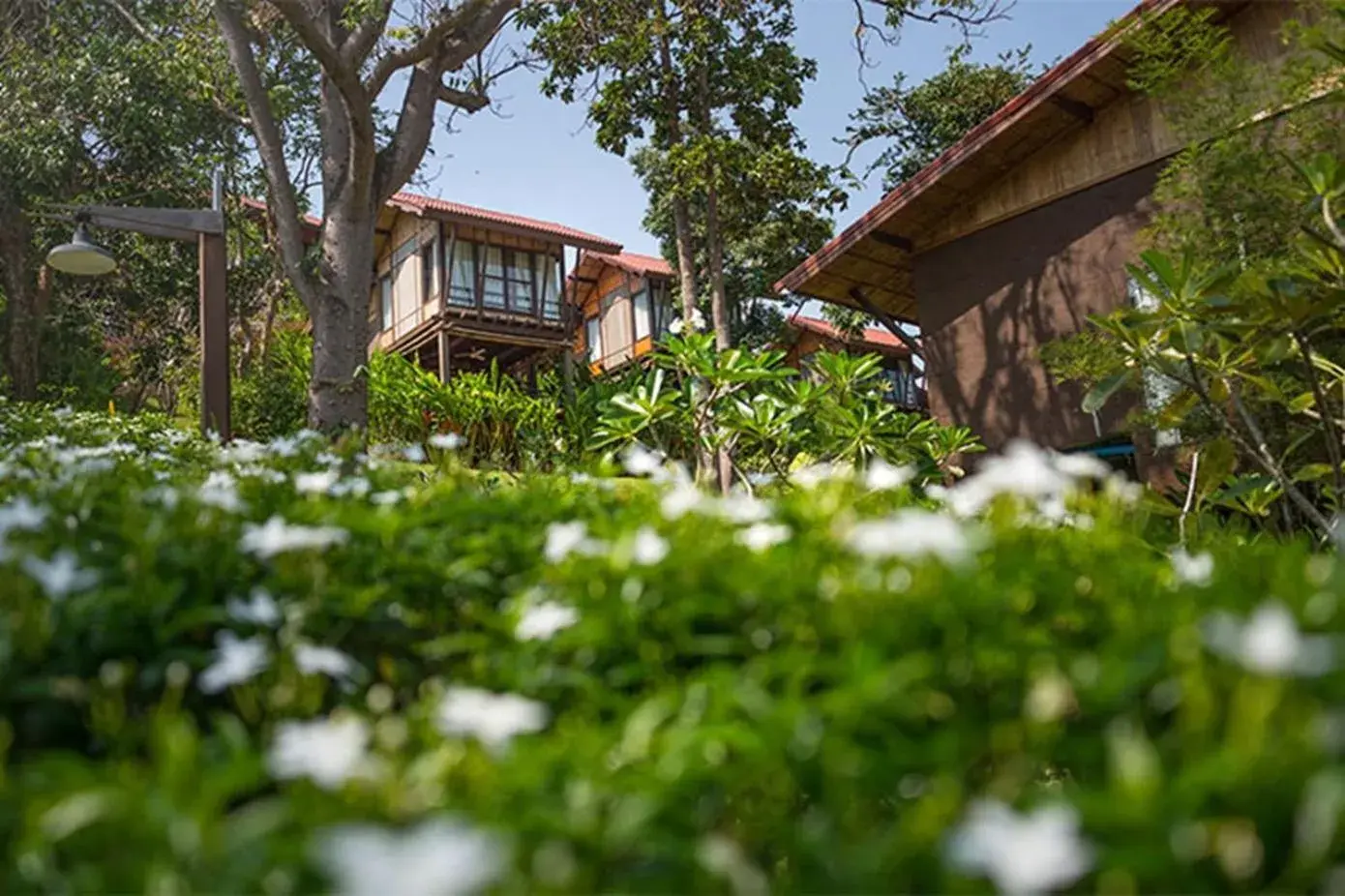 Garden, Property Building in Alama Sea Village Resort - SHA Extra Plus