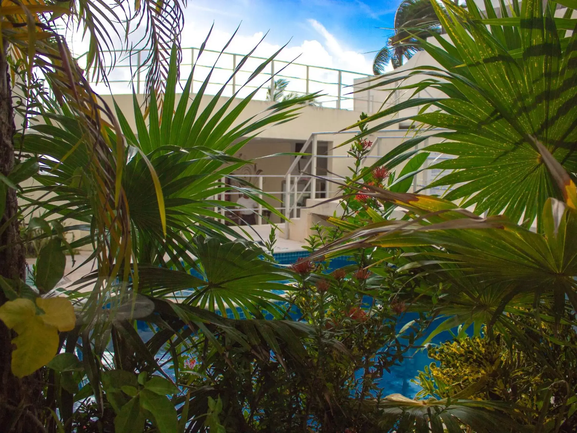 Pool view, Property Building in Playa Maya by MIJ - Beachfront Hotel