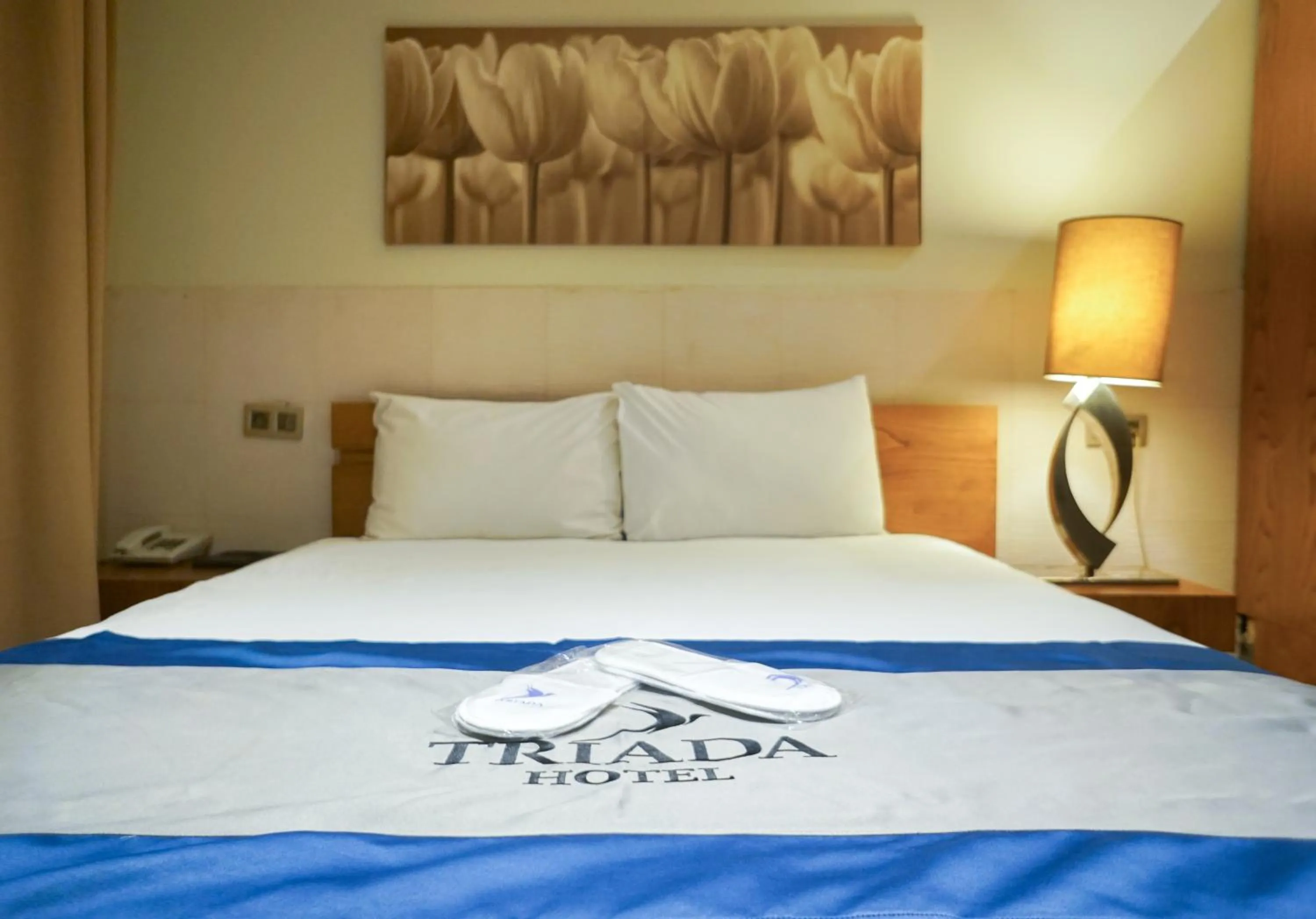 Bed in Triada Hotel Taksim - Special Category