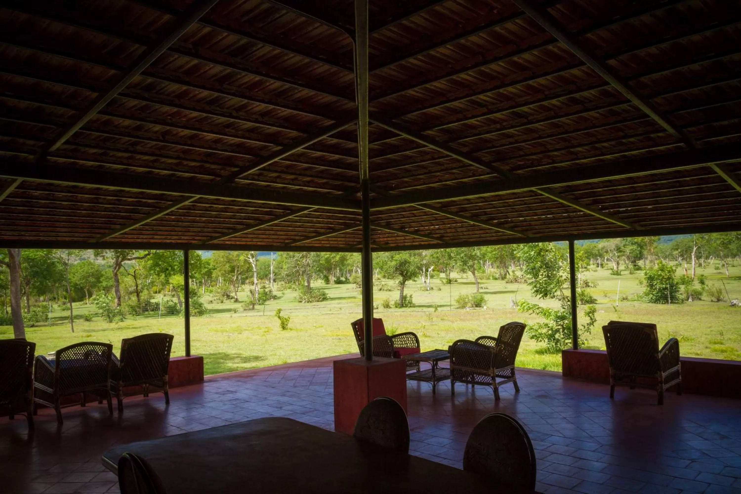 Patio in labdhi Resorts Masinagudi- Stag Groups not allowed