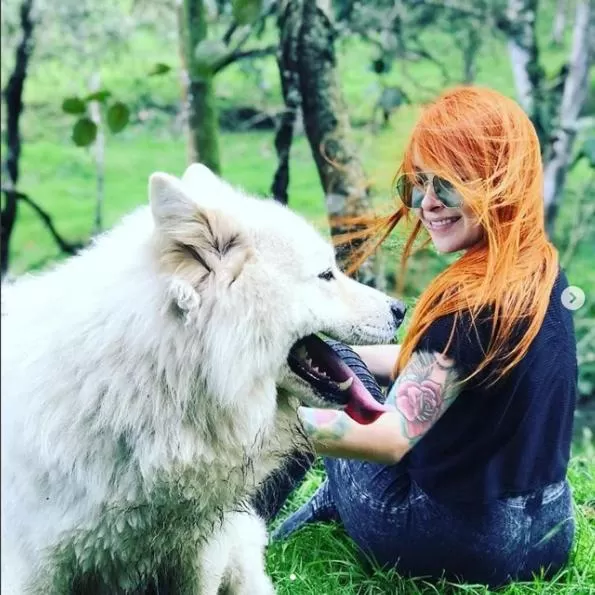 Animals, Other Animals in Cabañas Rústicas El Viejo Tambo By Rotamundos