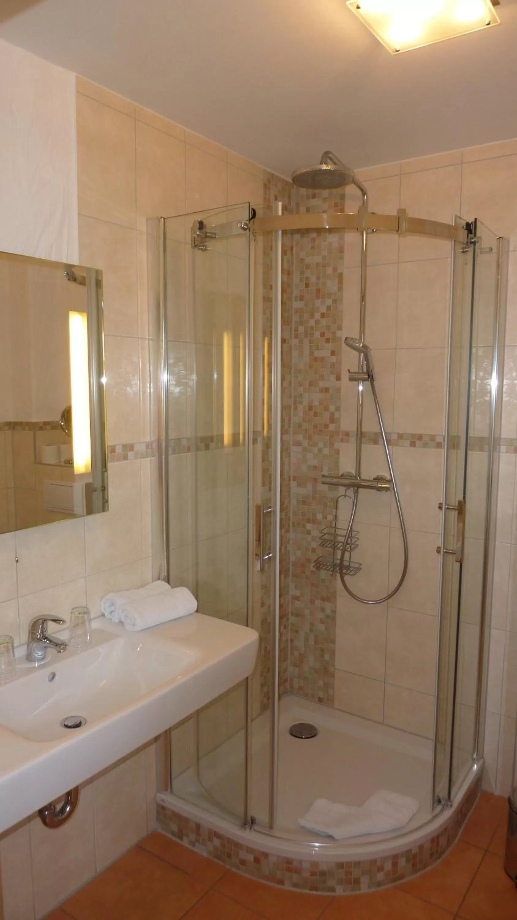 Bathroom in Zum Schlangenkönig