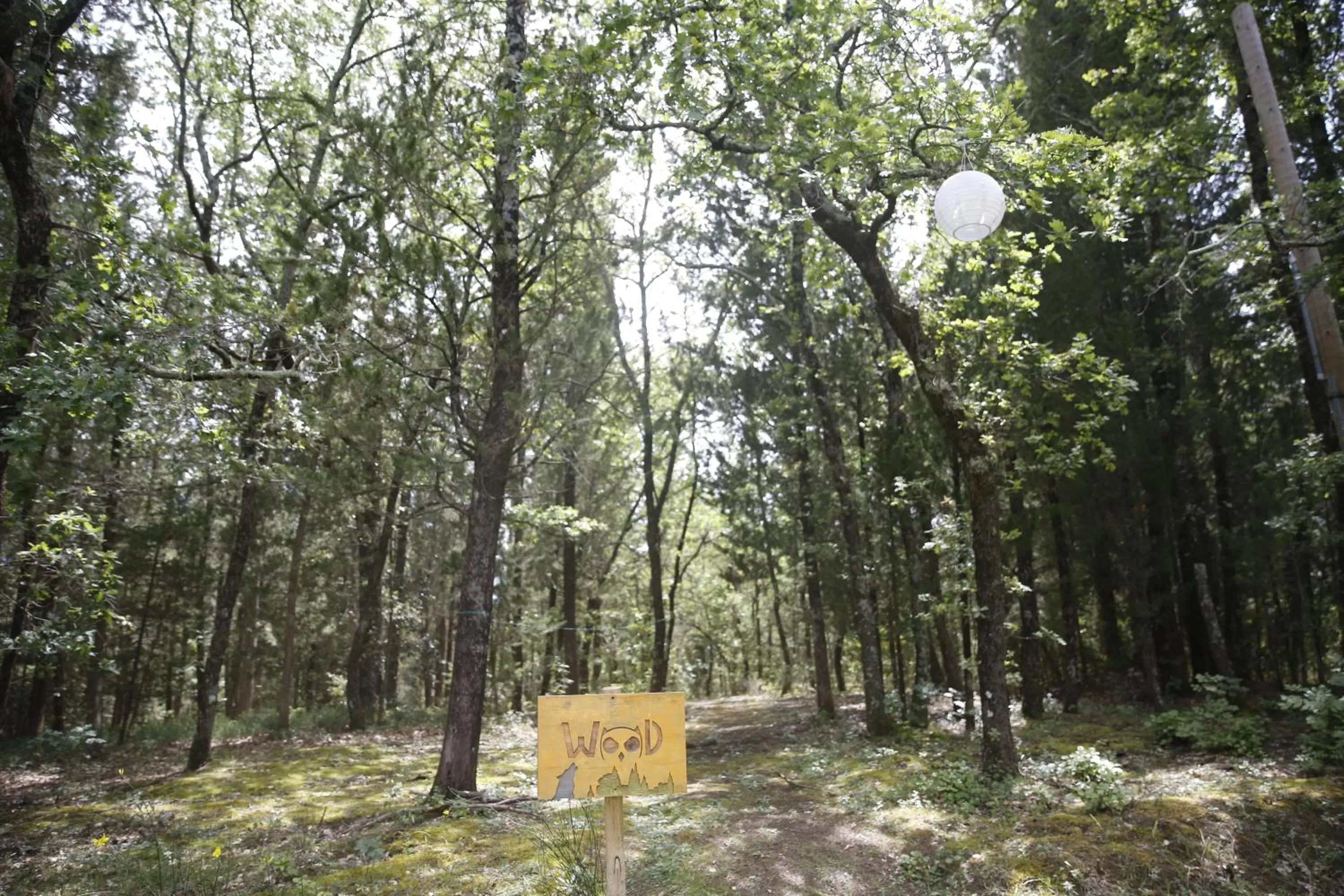 Natural landscape in Villa Albertina