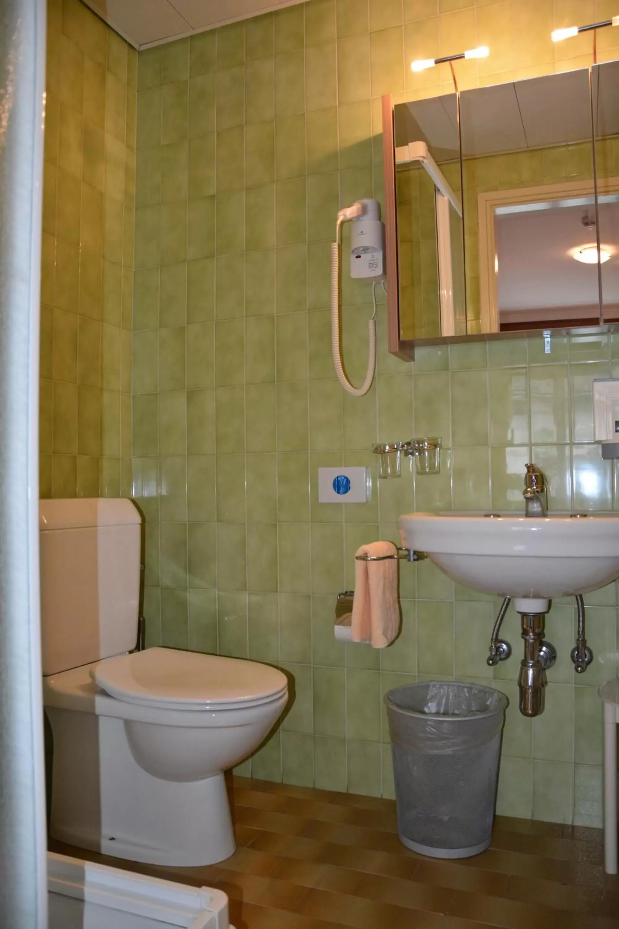 Bathroom in Hotel Dischma