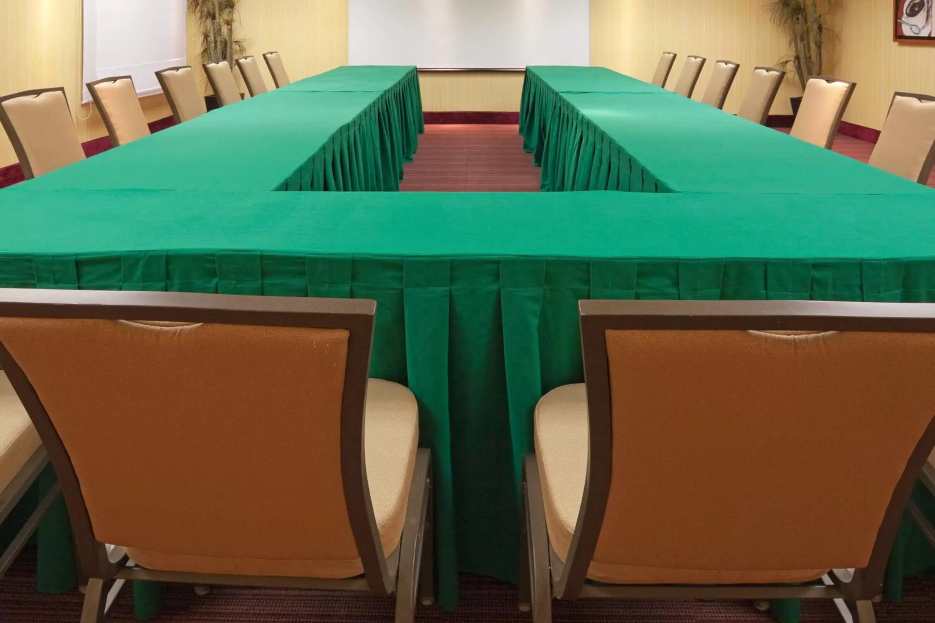 Meeting/conference room in Holiday Inn Express Tapachula, an IHG Hotel