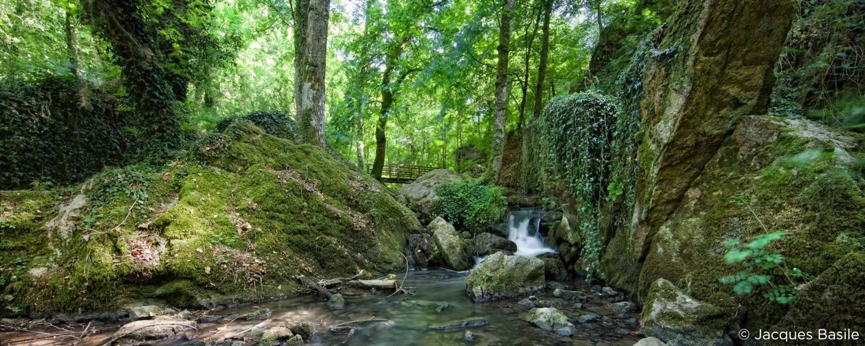 Off site, Natural Landscape in ibis Falaise Coeur de Normandie