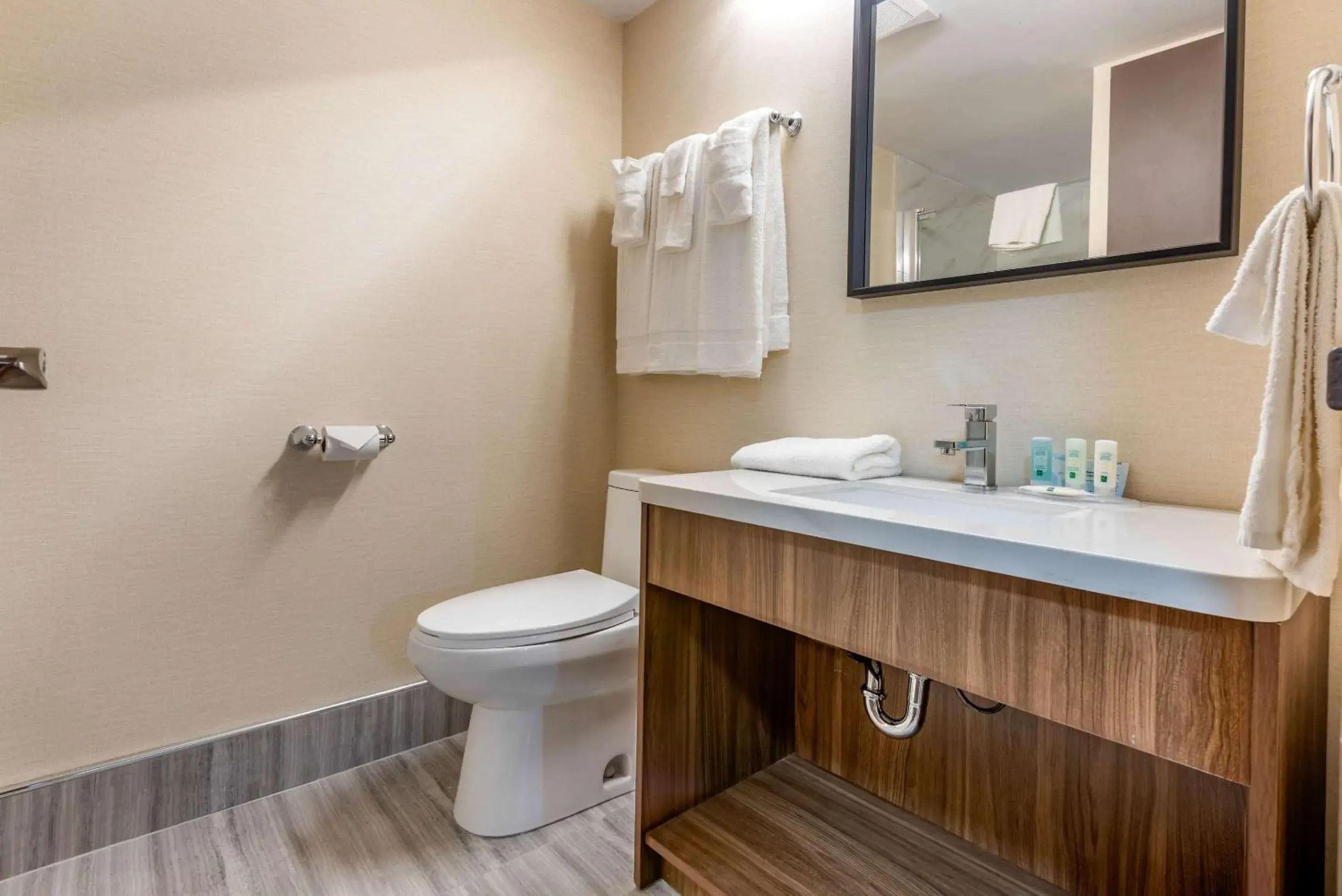 Bathroom in Quality Inn and Suites