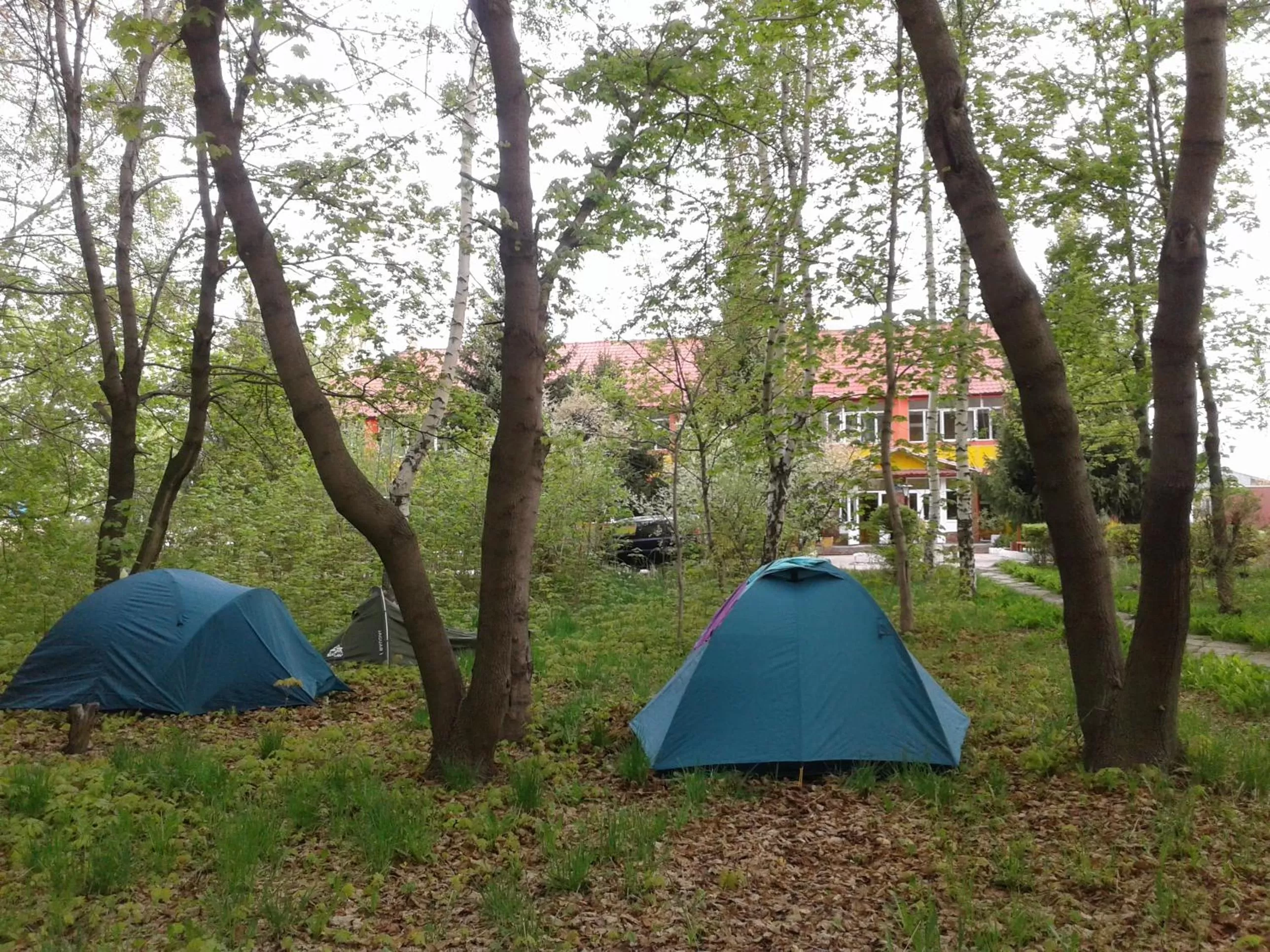 Garden in Otel Issyk-Kul Karakol